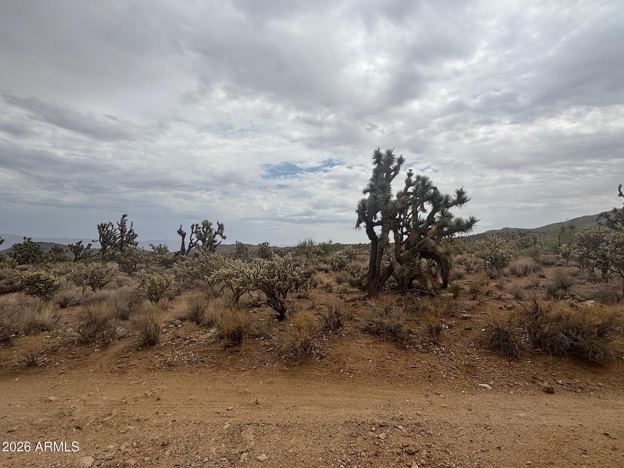 LAKE MOHAVE RANCHOS UNIT 13 - Land