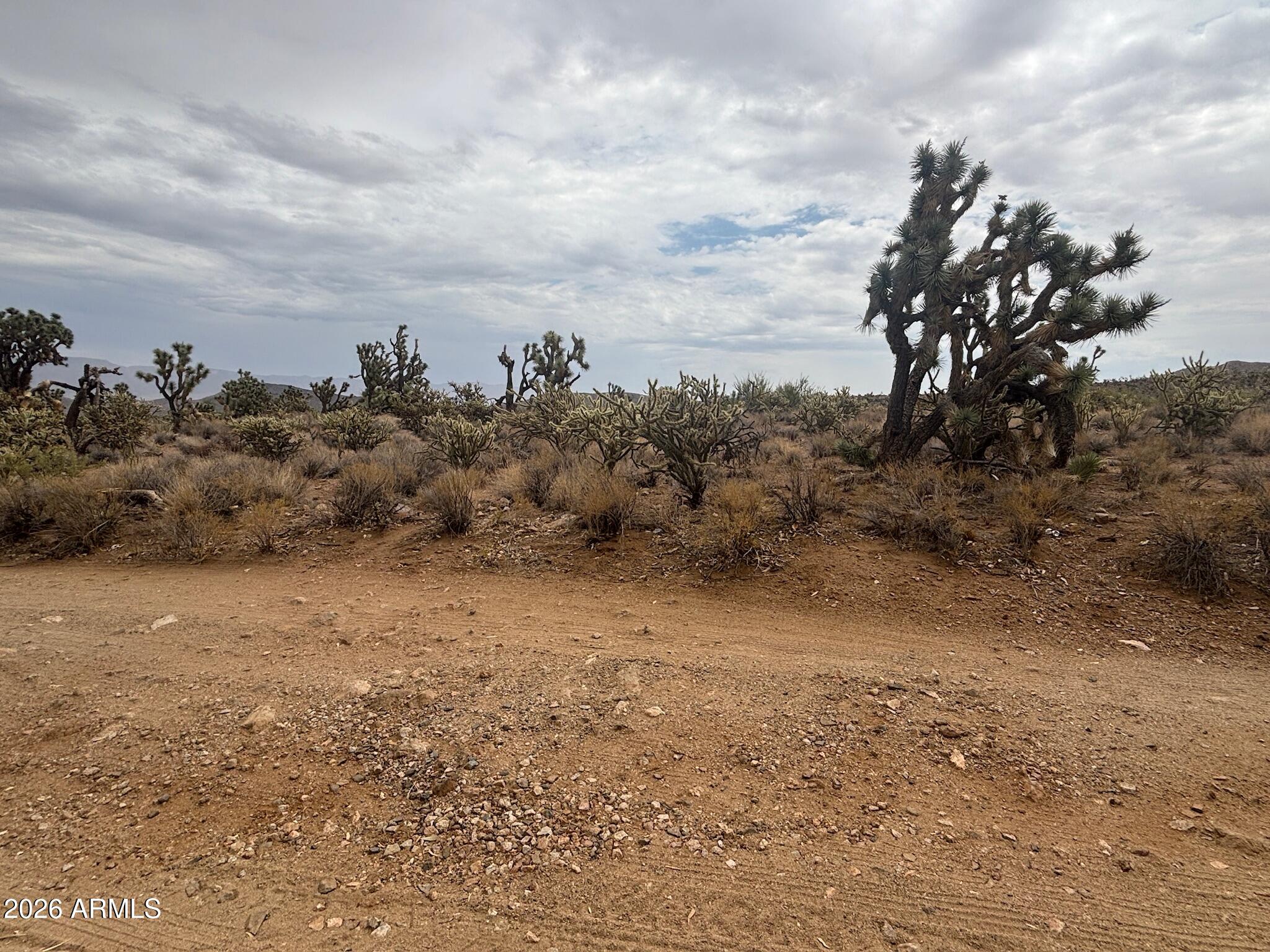 LAKE MOHAVE RANCHOS UNIT 13 - Land