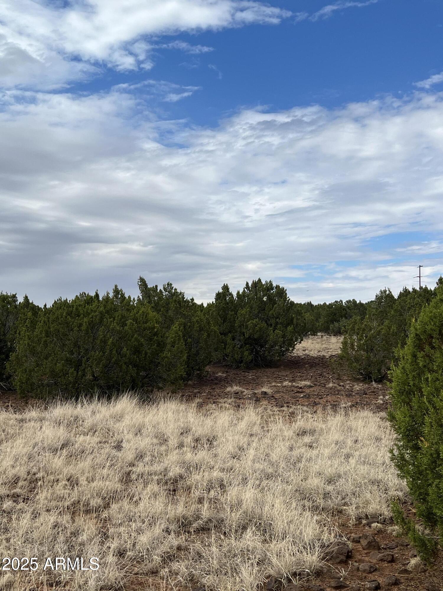 White Mountain Lake Unit 13 - Land
