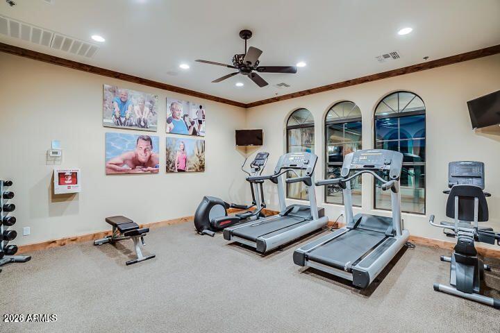 BELLAVIA AT MOUNTAIN BRIDGE - Residential