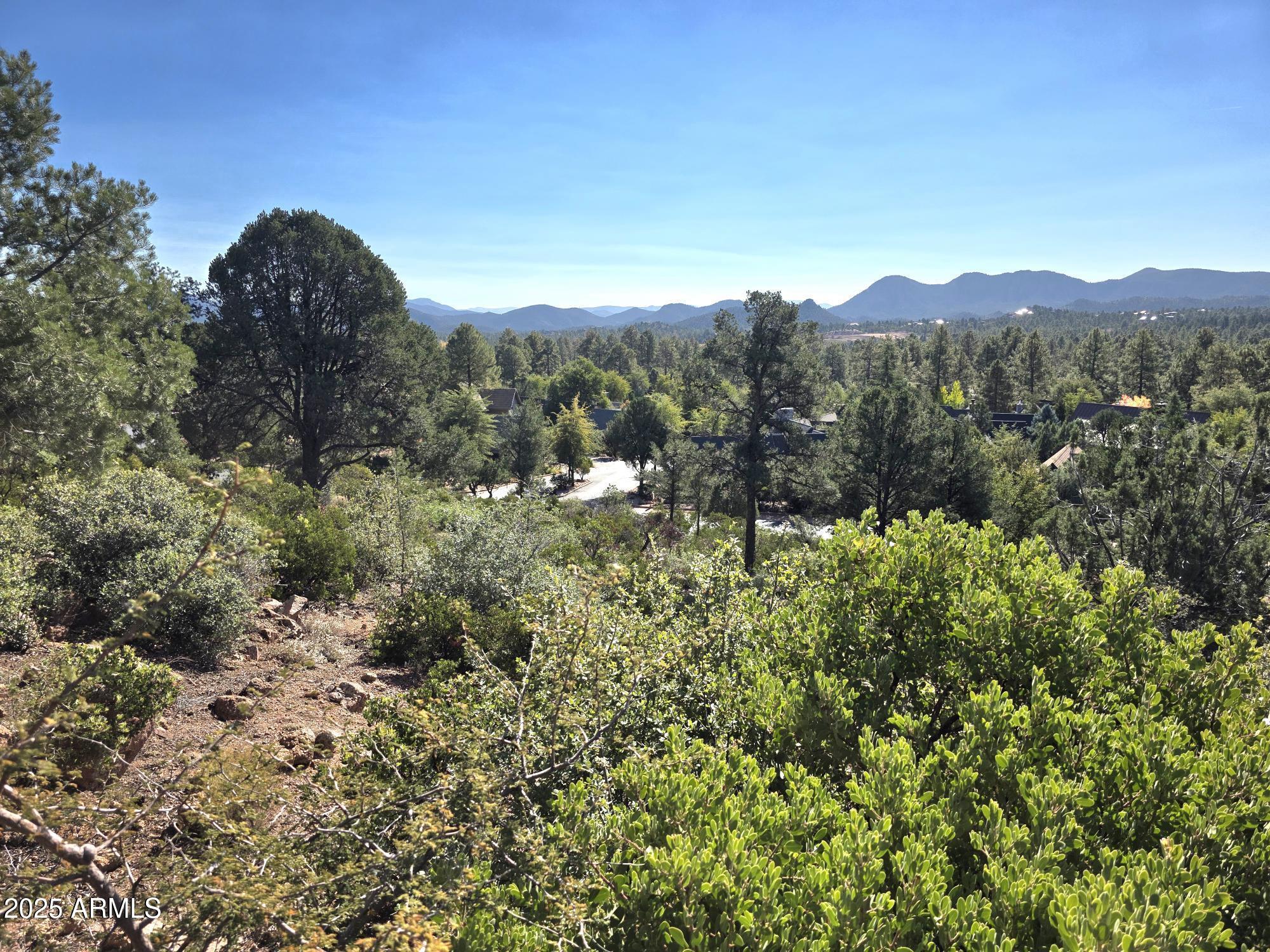 CHAPARRAL PINES PHASE 2 - Land