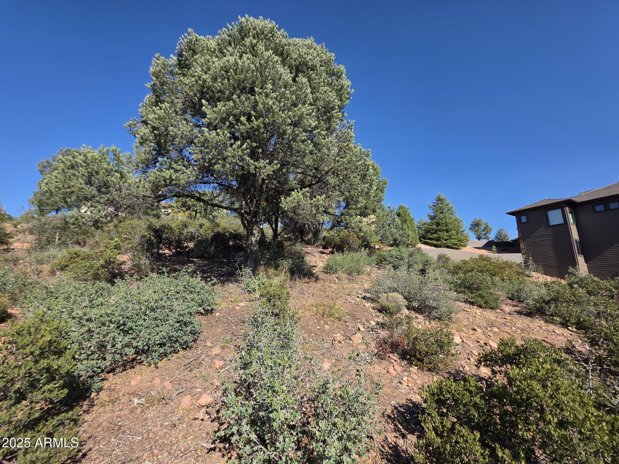 CHAPARRAL PINES PHASE 2 - Land