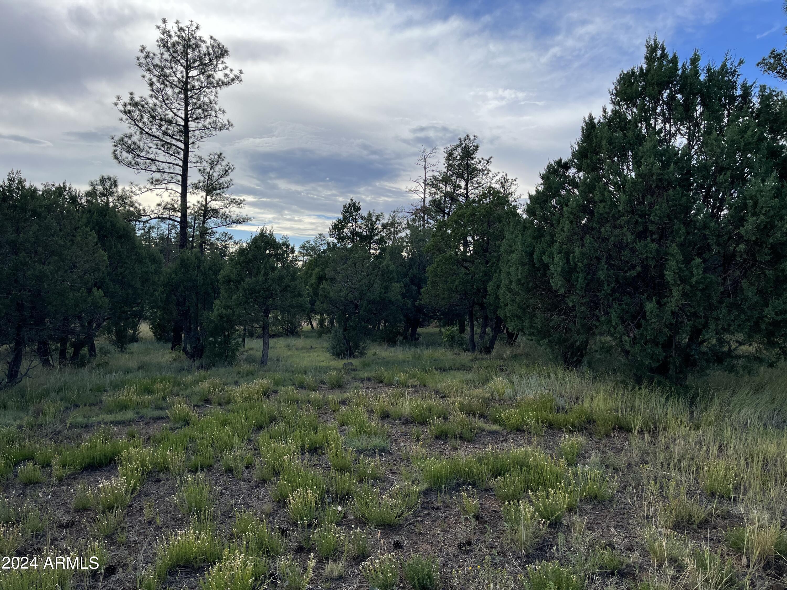 WOLF PINES UNIT 2 - Land