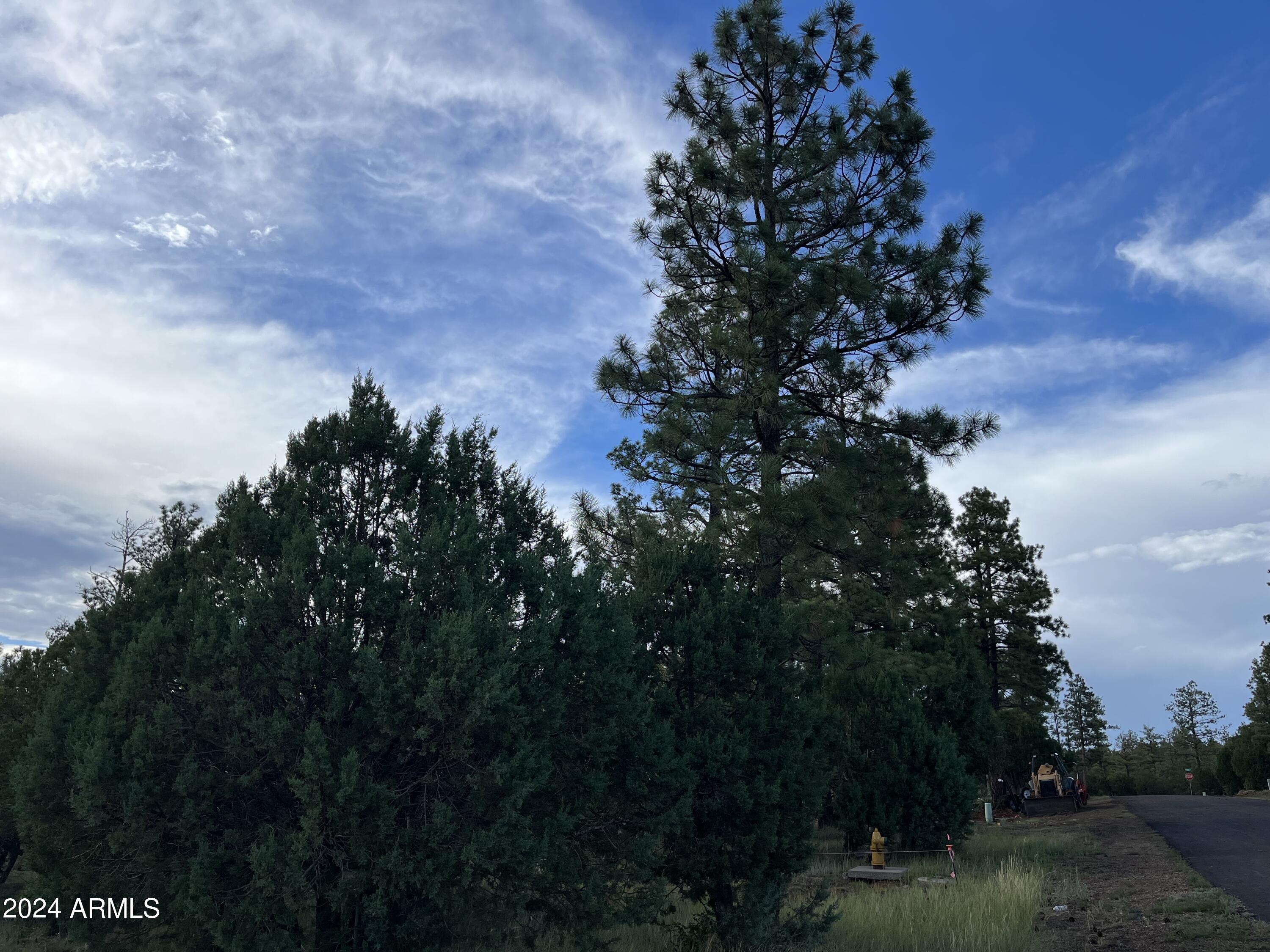 WOLF PINES UNIT 2 - Land