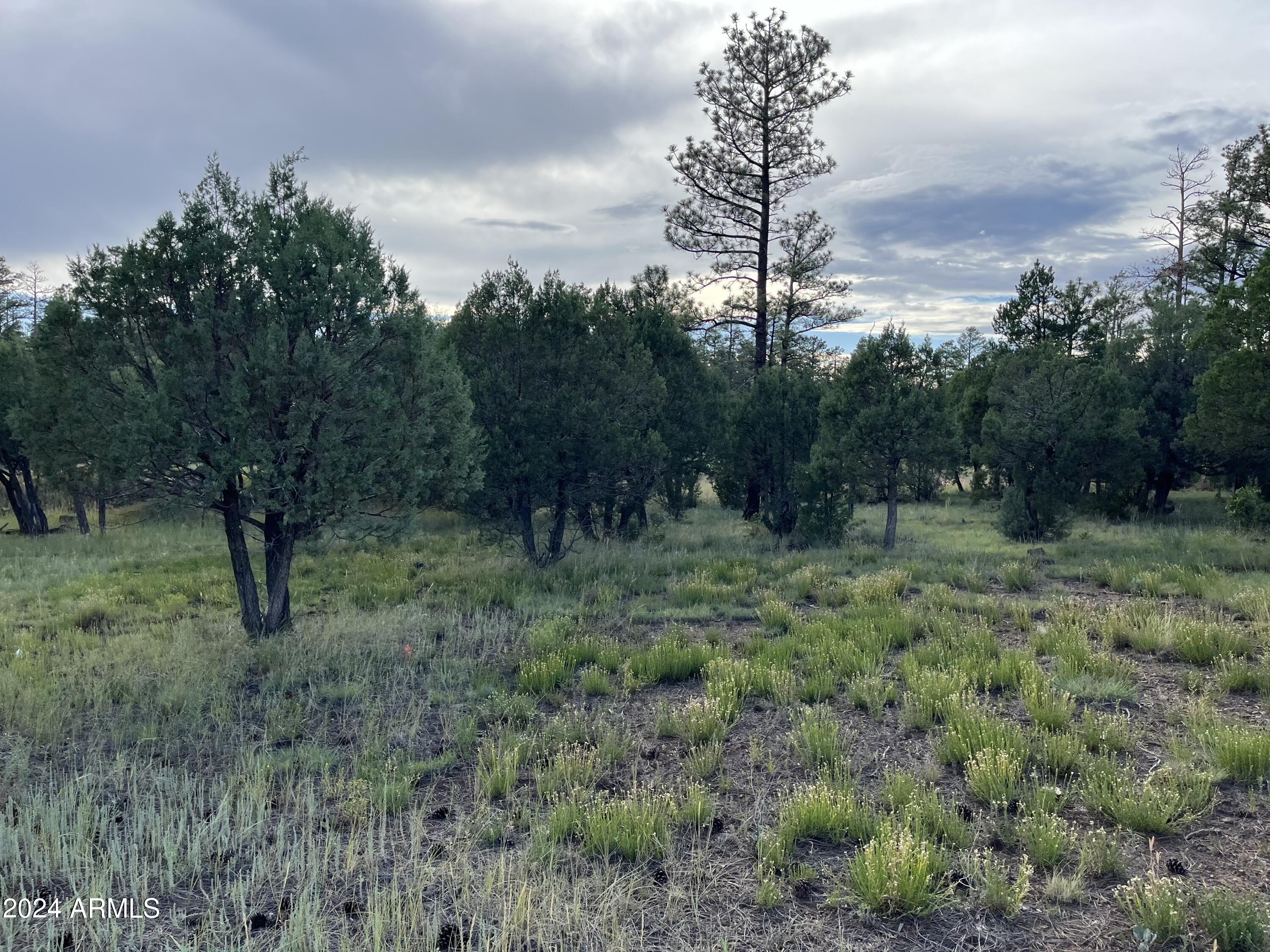 WOLF PINES UNIT 2 - Land