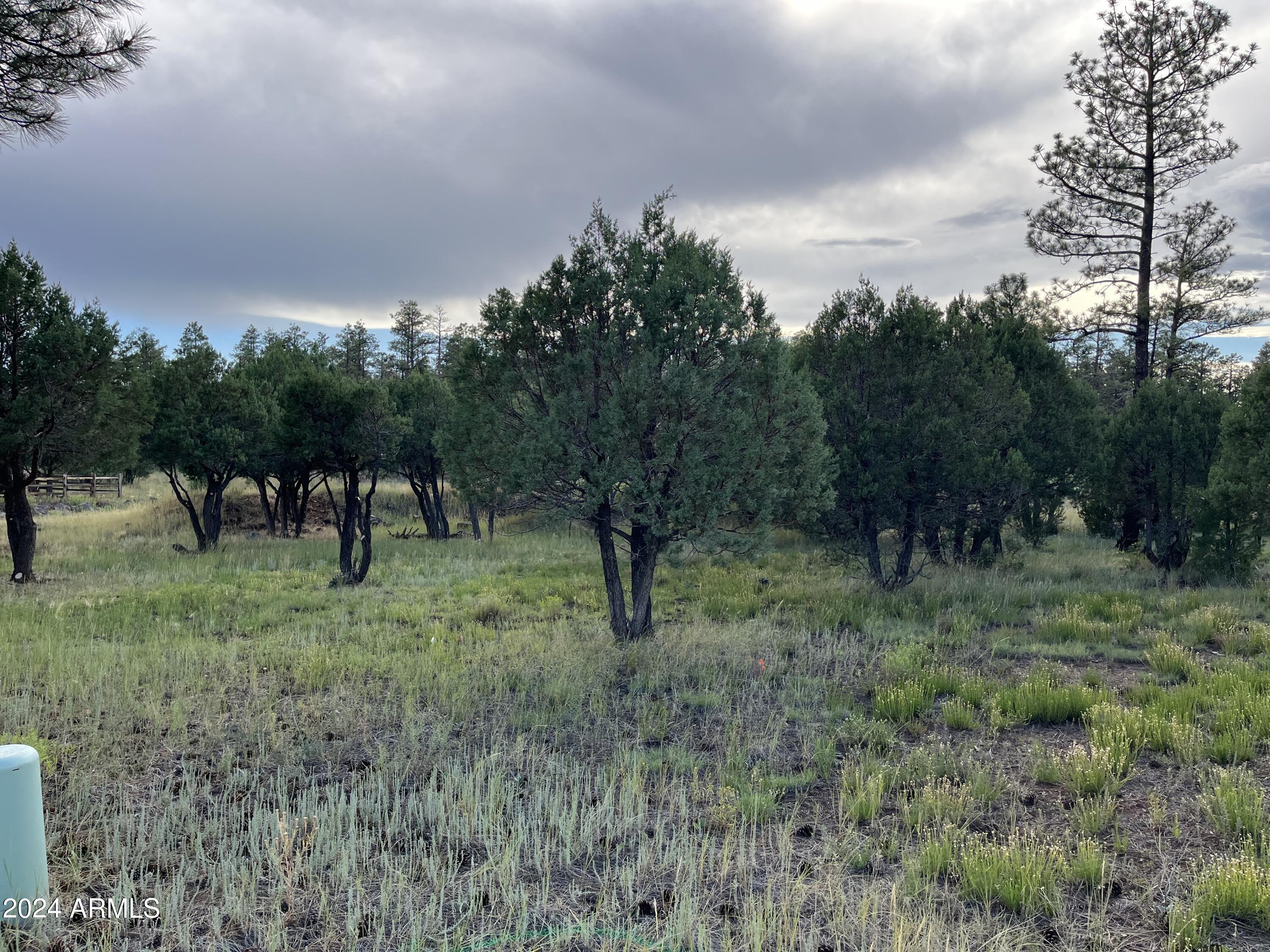 WOLF PINES UNIT 2 - Land