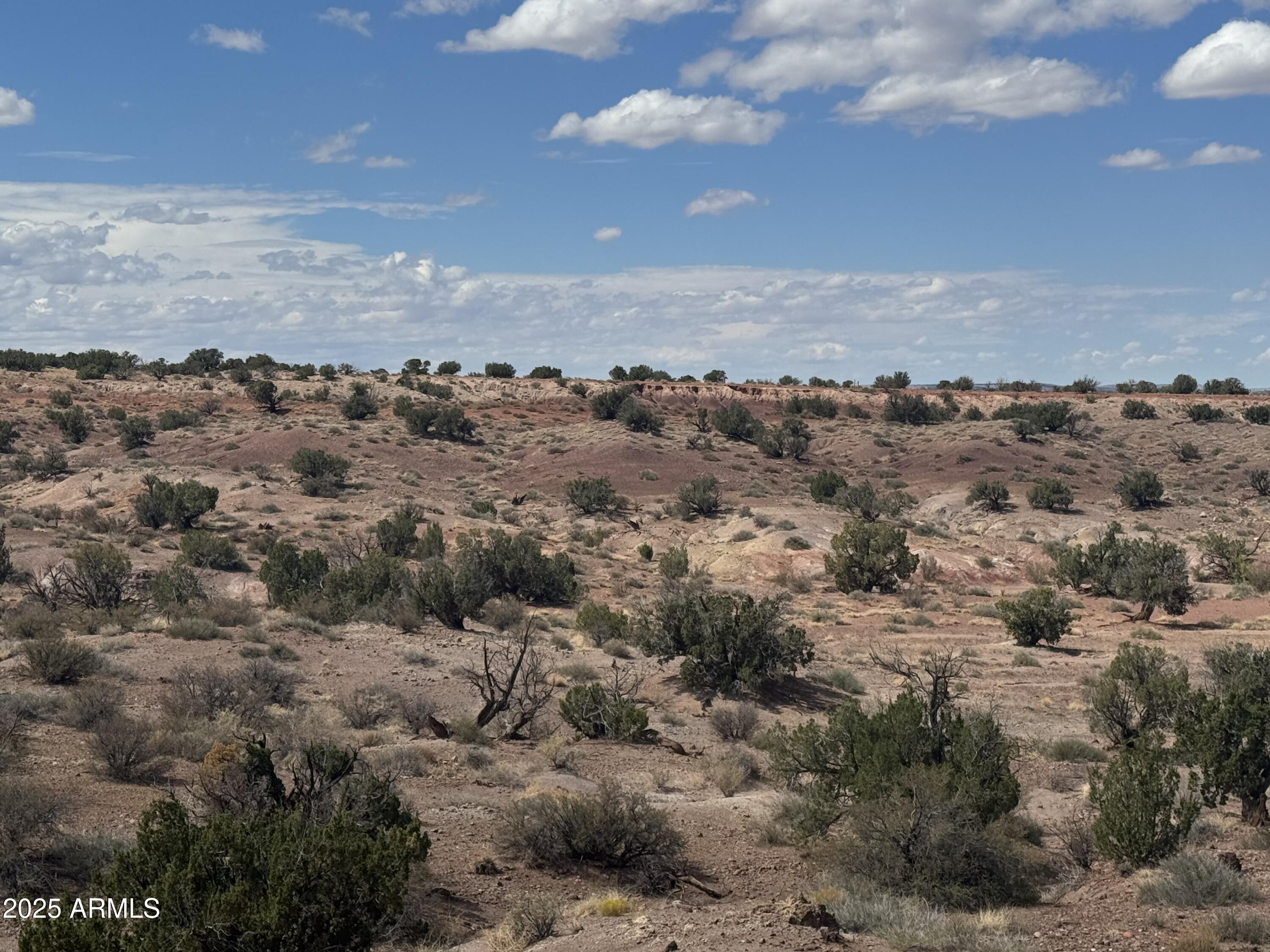 RIVER SPRINGS RANCH UNIT 1 - Land