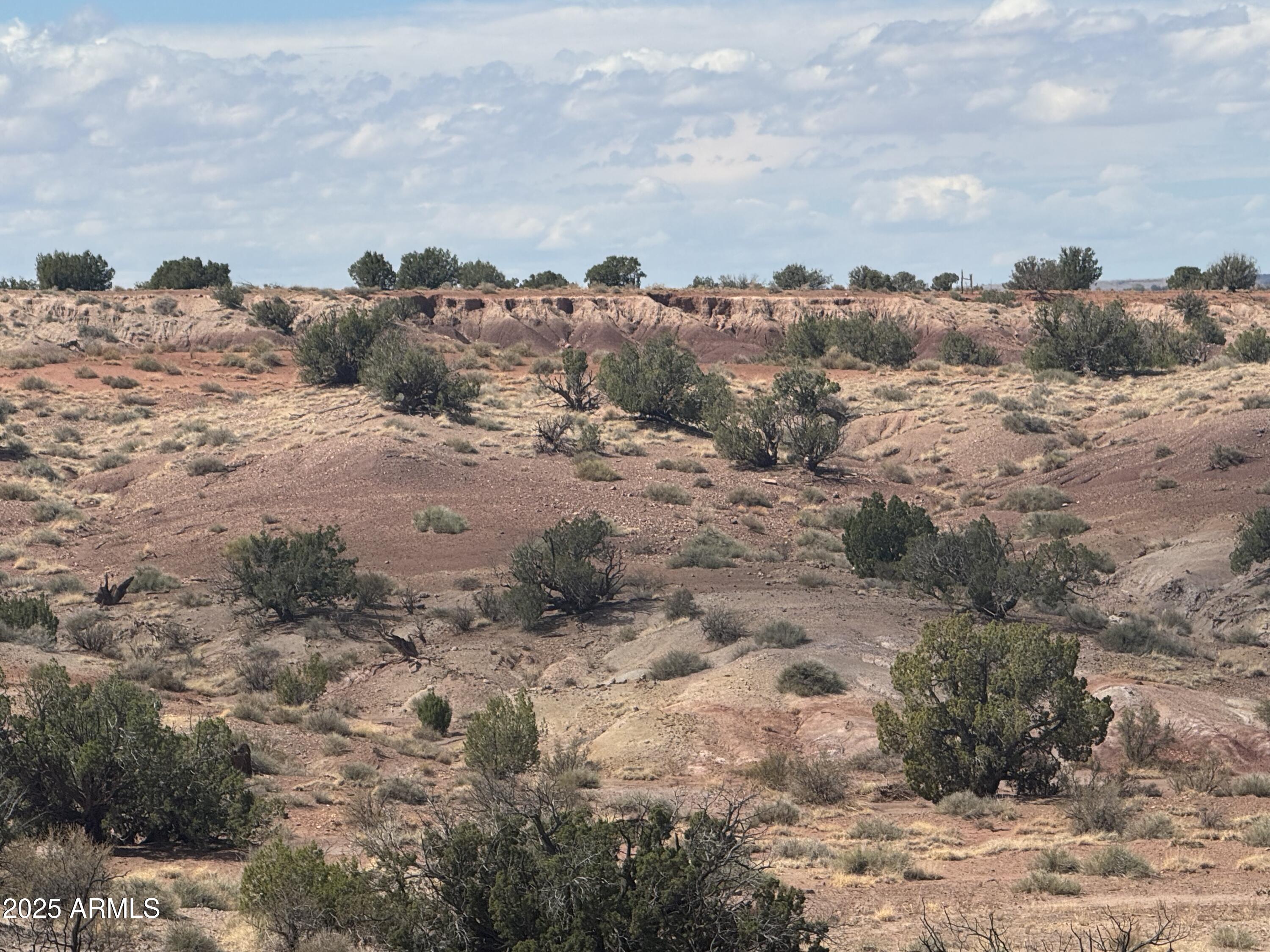 RIVER SPRINGS RANCH UNIT 1 - Land