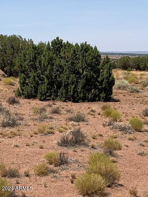 RIVER SPRINGS RANCH UNIT 1 - Land