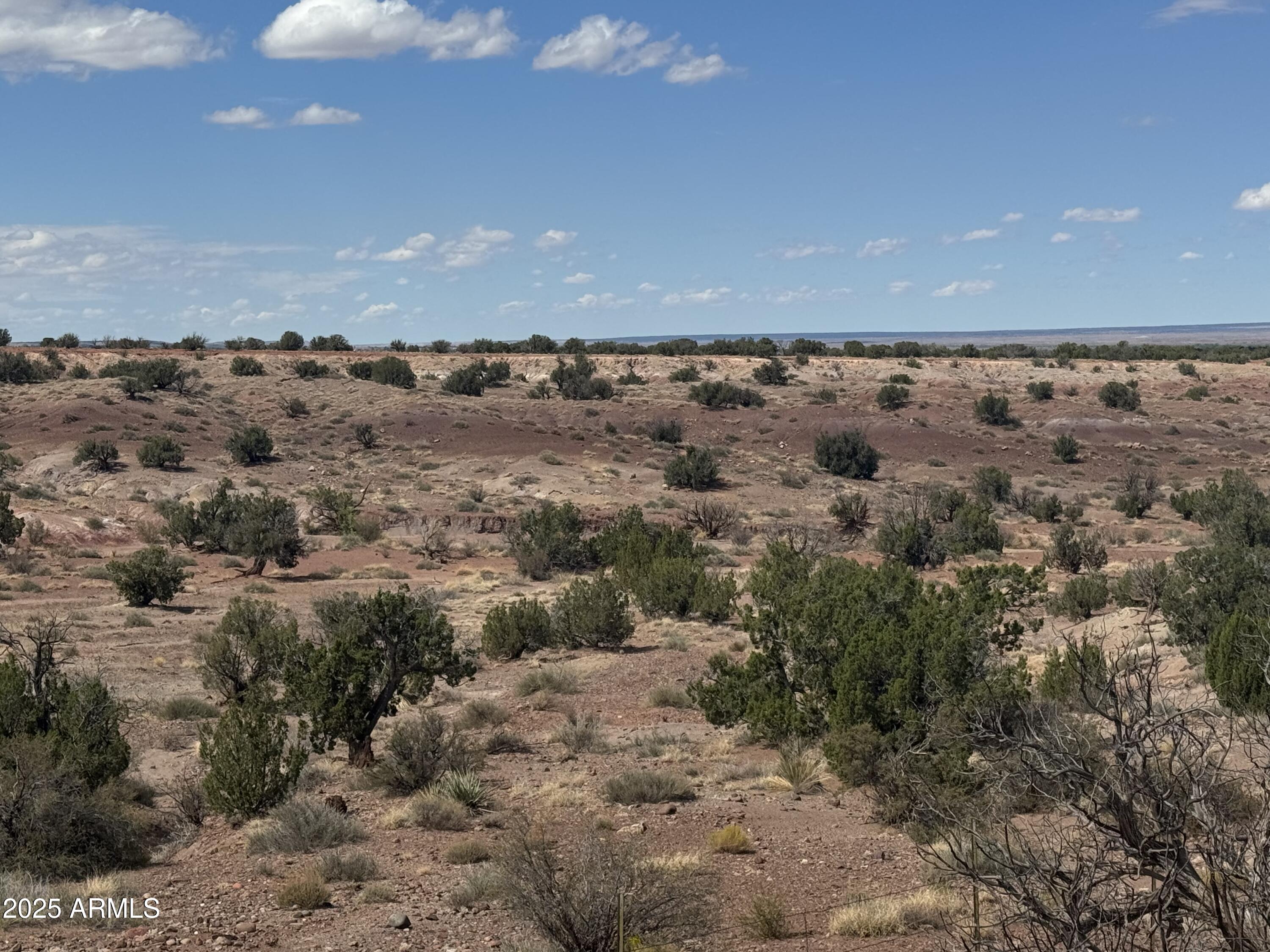 RIVER SPRINGS RANCH UNIT 1 - Land