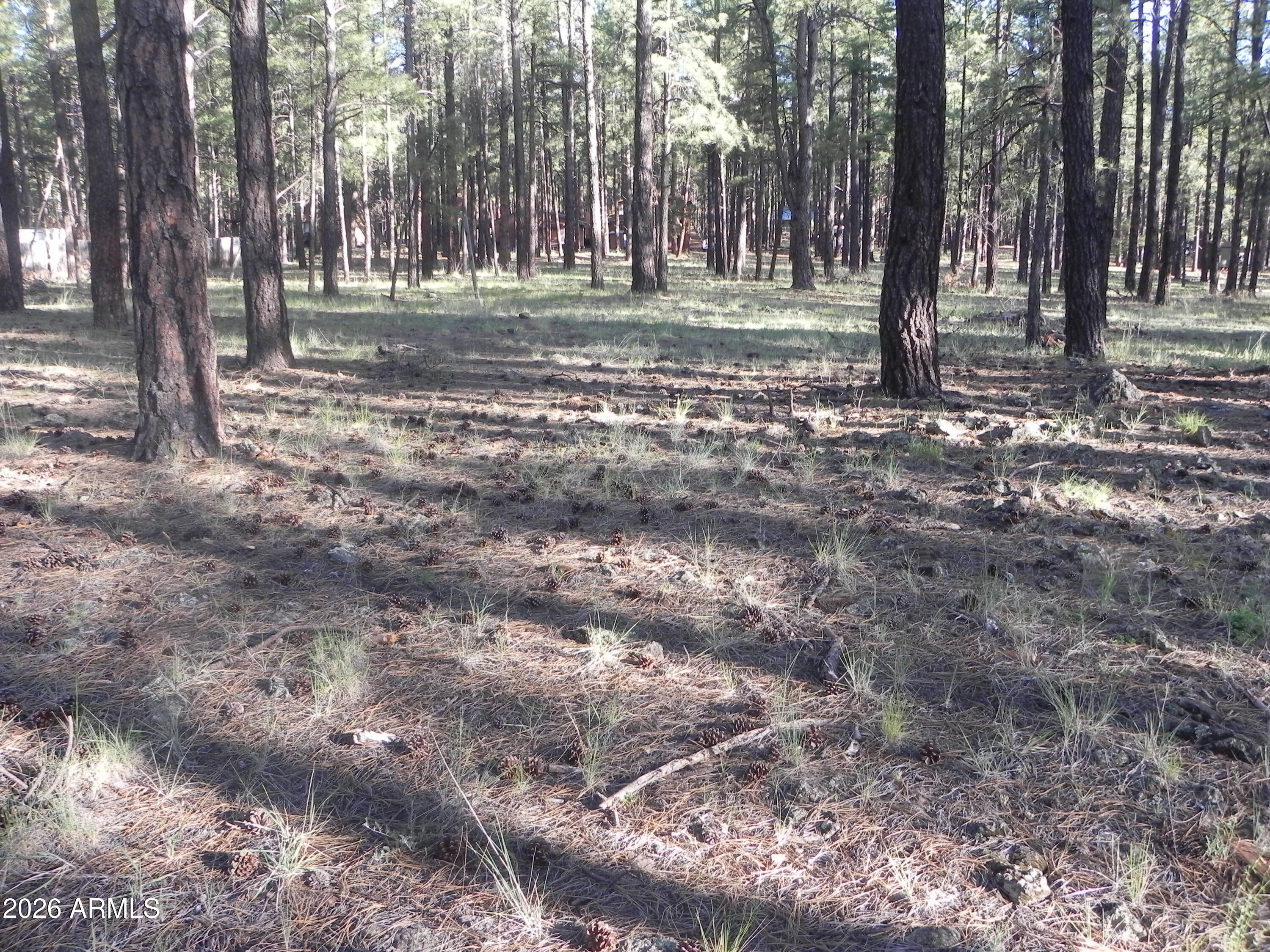 Your dream cabin in the cool Williams pines is calling. This one-acre, build-ready lot sits among towering Ponderosa pines, offering the perfect blend of privacy, shade, and mountain air. Located in the sought-after Sherwood Forest community of summer homes, this property gives you the space, freedom, and setting to finally start building the getaway you've been imagining.

Don't wait--secure your slice of the pines and start creating your mountain retreat today.