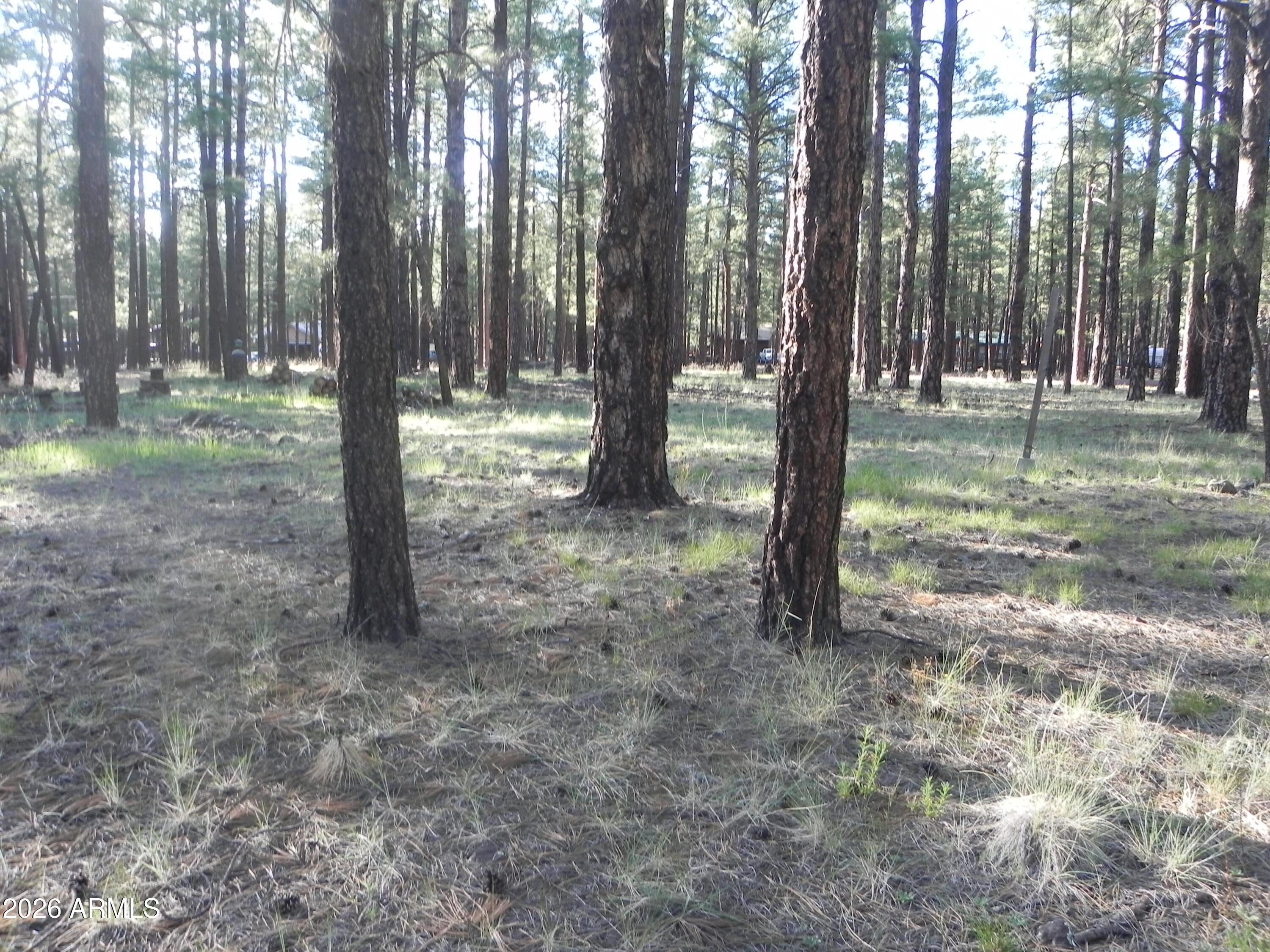 SHERWOOD FOREST ESTATES - Land