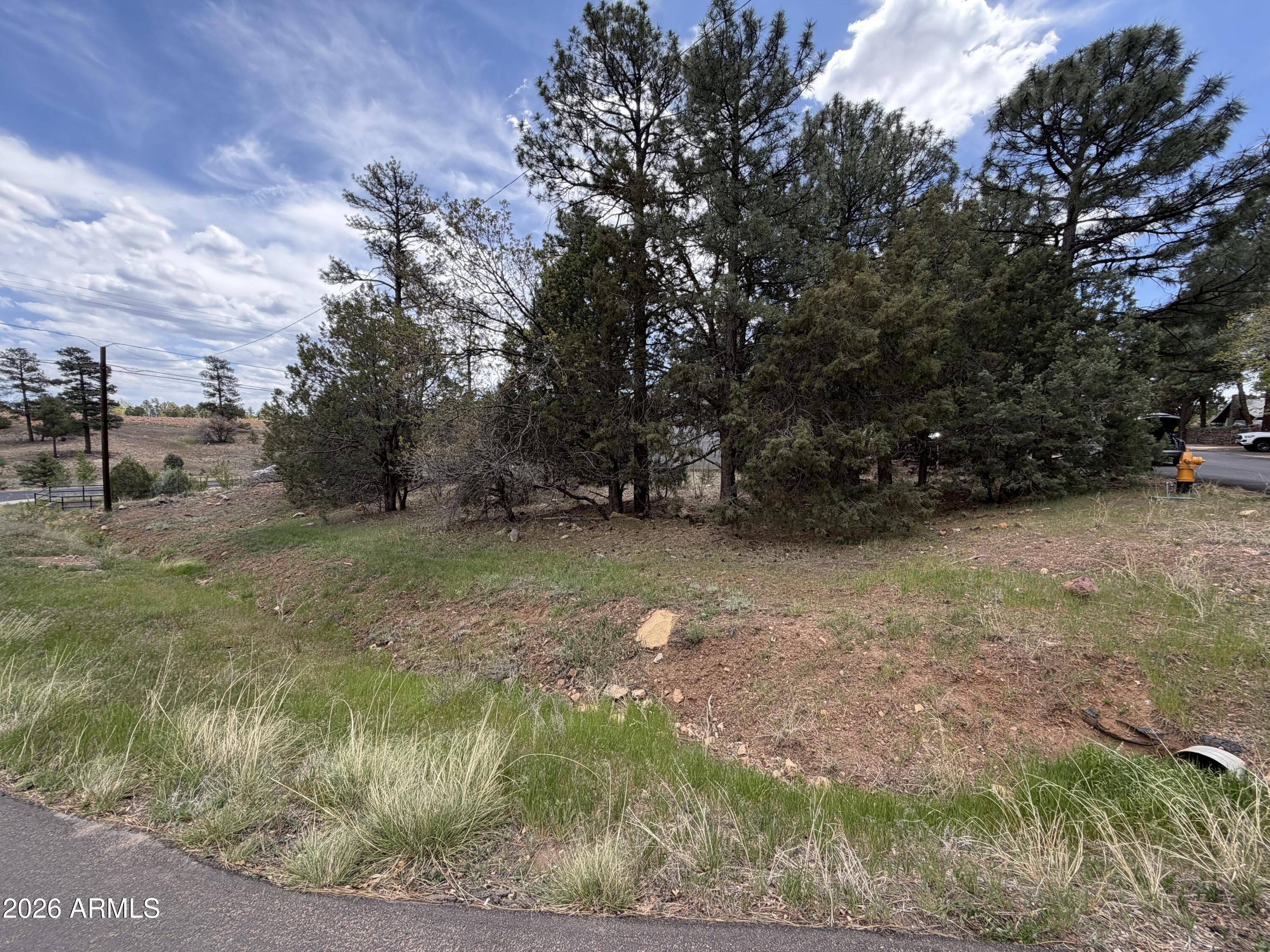 The perfect residential neighborhood where you can create your own custom mountain home. All utilities are at the lot line and no HOA! Great corner lot with neighbors on just one side.