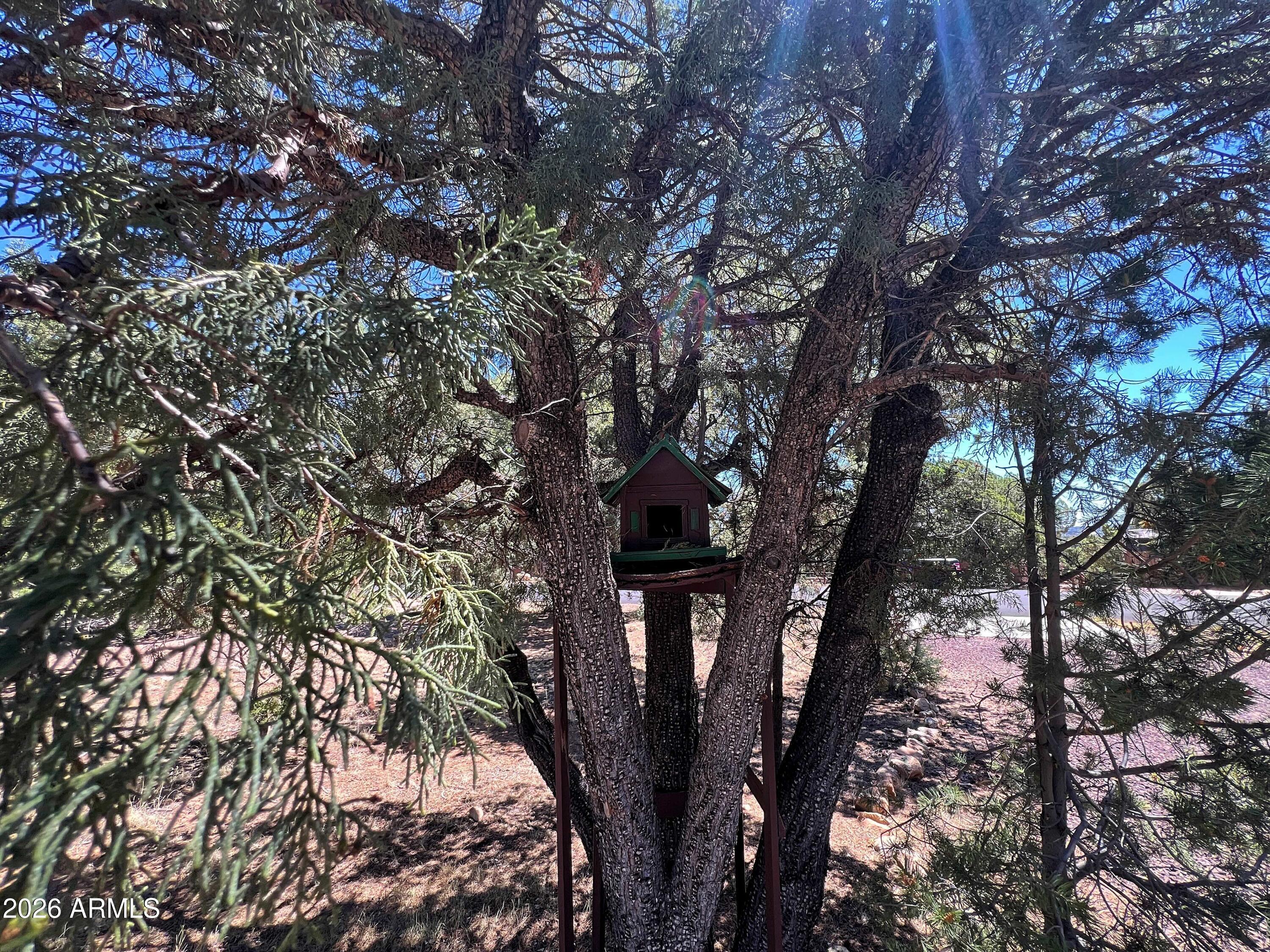 HIGH COUNTRY PINES - Residential