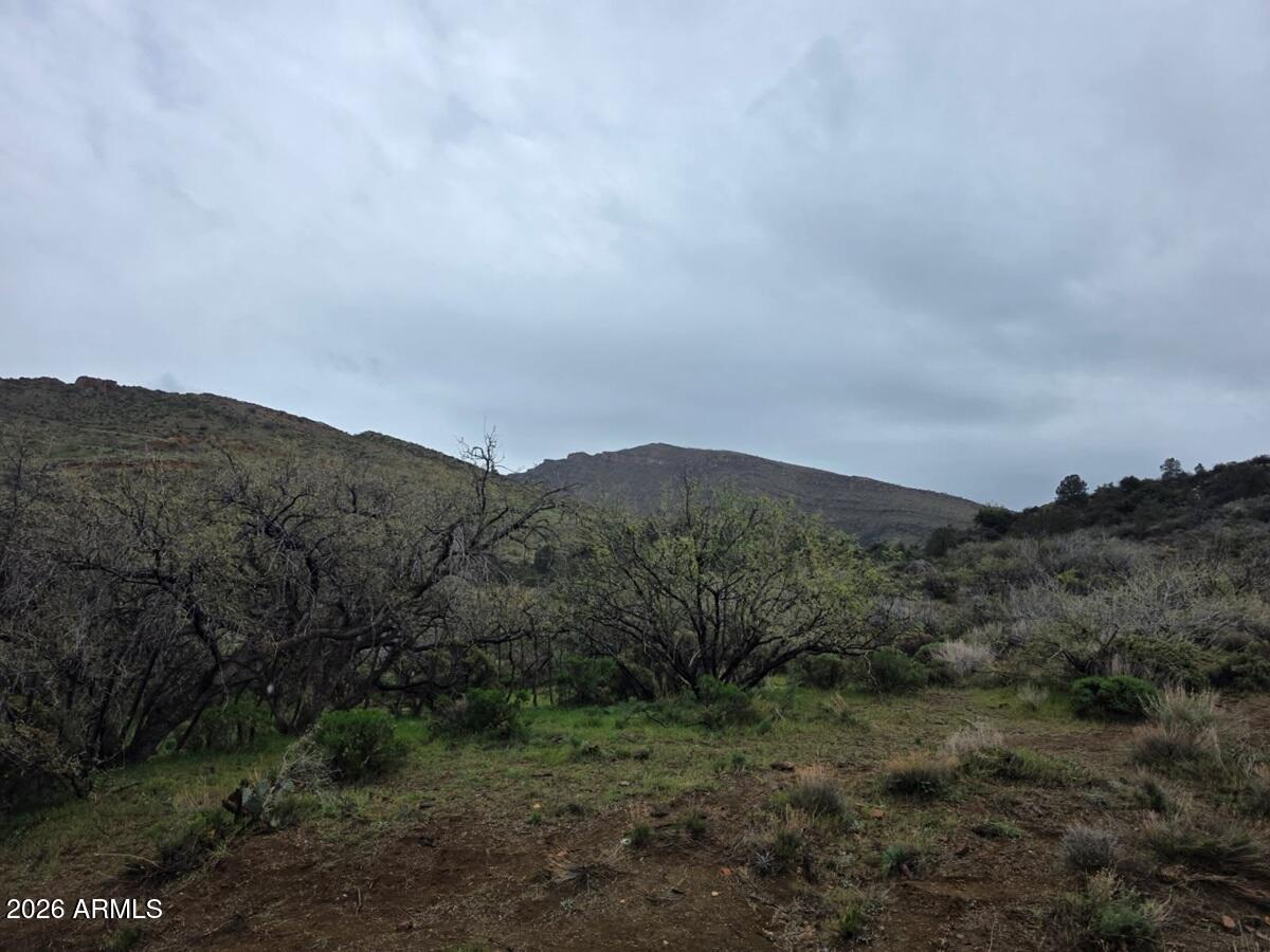 El Capitan - Land