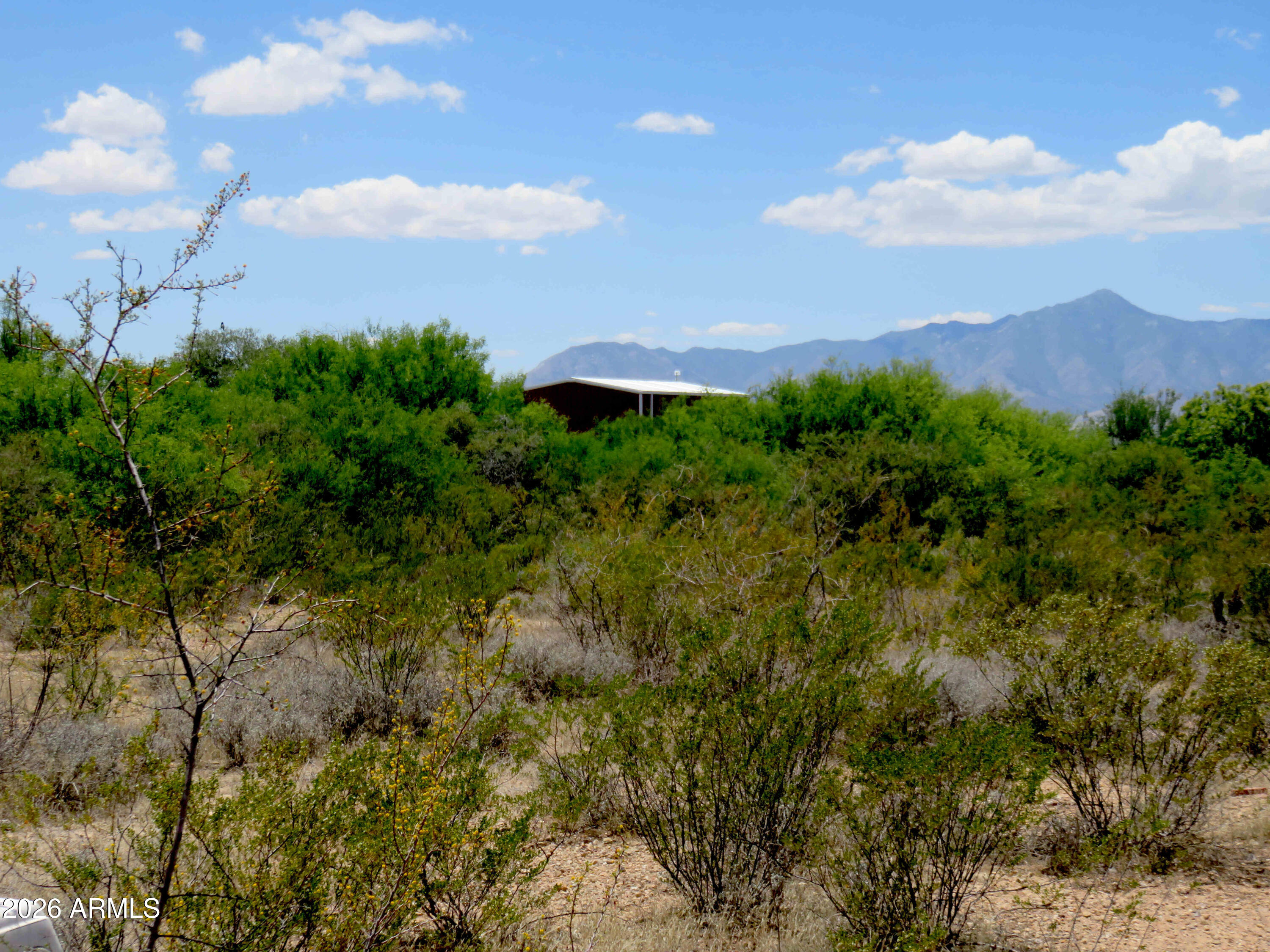 What a rare opportunity to buy land up in what could be called, Sun Set Vista, perched above the San Pedro River, nestled into the Mule Mountains, looking across the Valley at Sierra Vista and the Huachuca Mountains.  This 20 acres is not Raw Land, the biggest extra is a 30x30 Red Steal Shop on Slab, in great condition (could be turned into a house?) Fully Fenced with 5 wires, a septic, a well and a Bio-Diverse Gully splitting it into two unique side so the In laws can have their own side of the property, all ready a Shack there.   And being RU-4 you can take advantage  of Cochise Counties unique Owner Builder Opt Out Permit to build the home of your dreams.  All this cool remoteness yet only a short trip to Sierra vista for most of your shopping needs or Bisbee for all it has to offer.