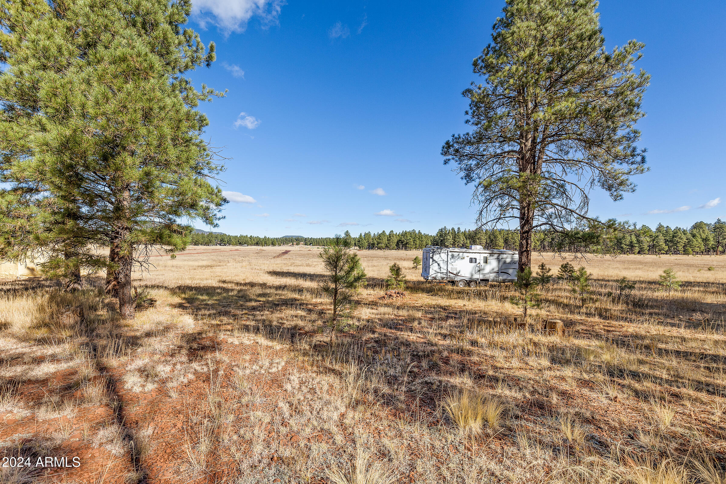 FORREST MEADOWS - Land