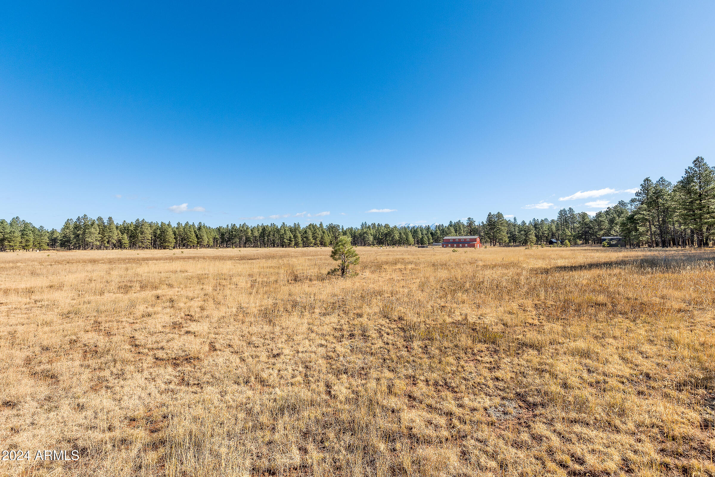 FORREST MEADOWS - Land