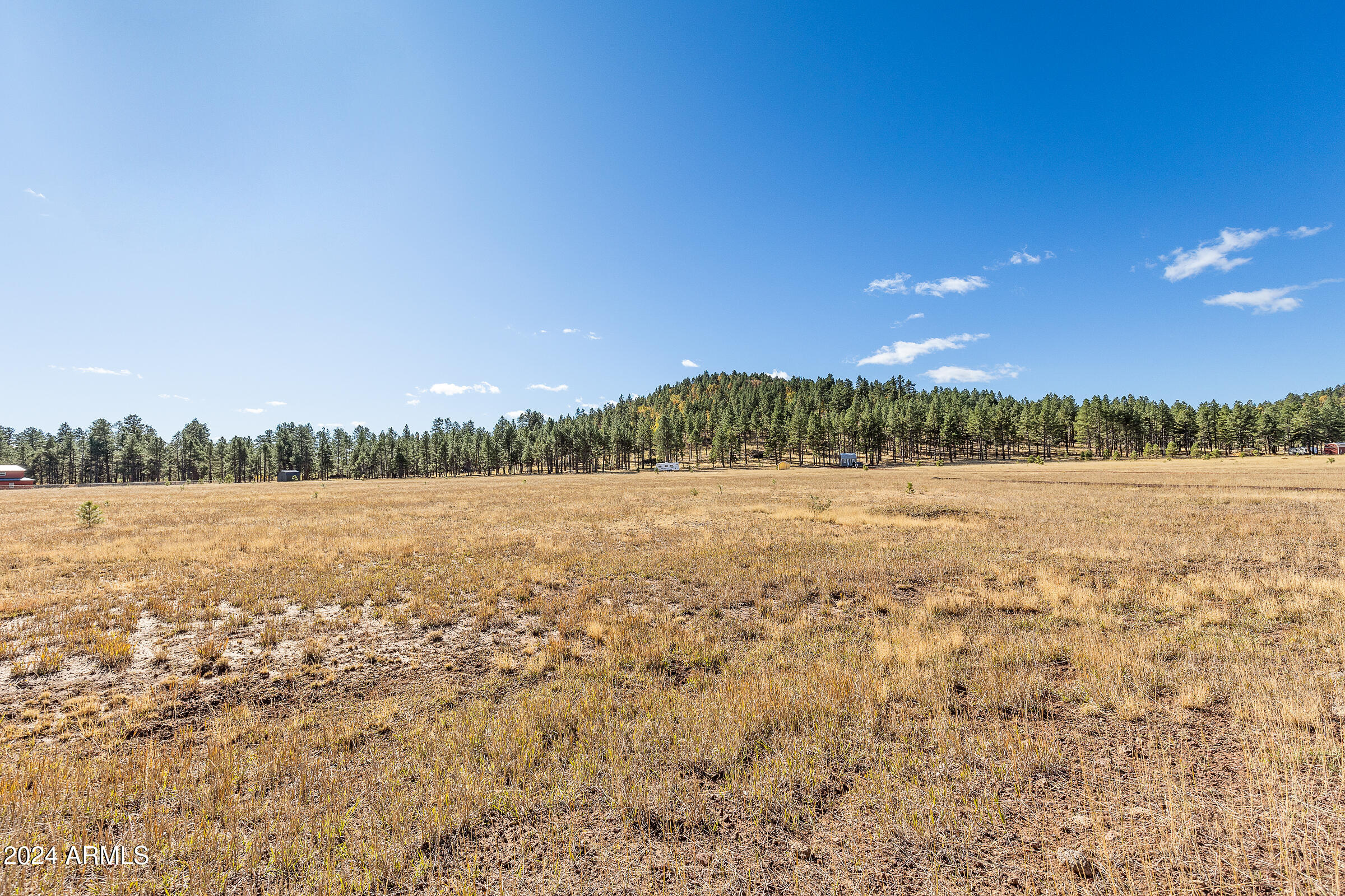 FORREST MEADOWS - Land