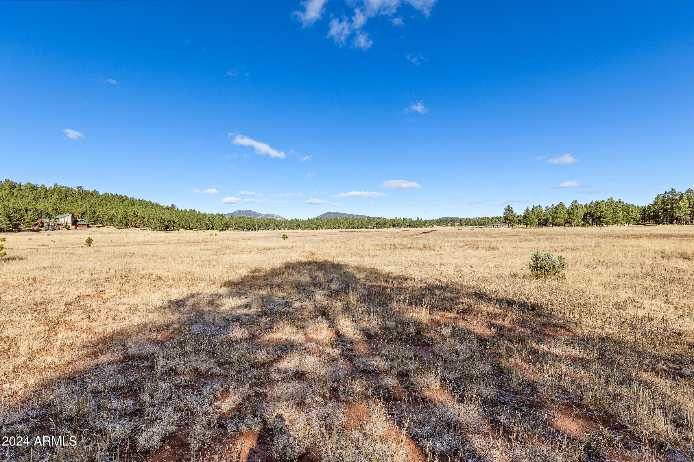 FORREST MEADOWS - Land