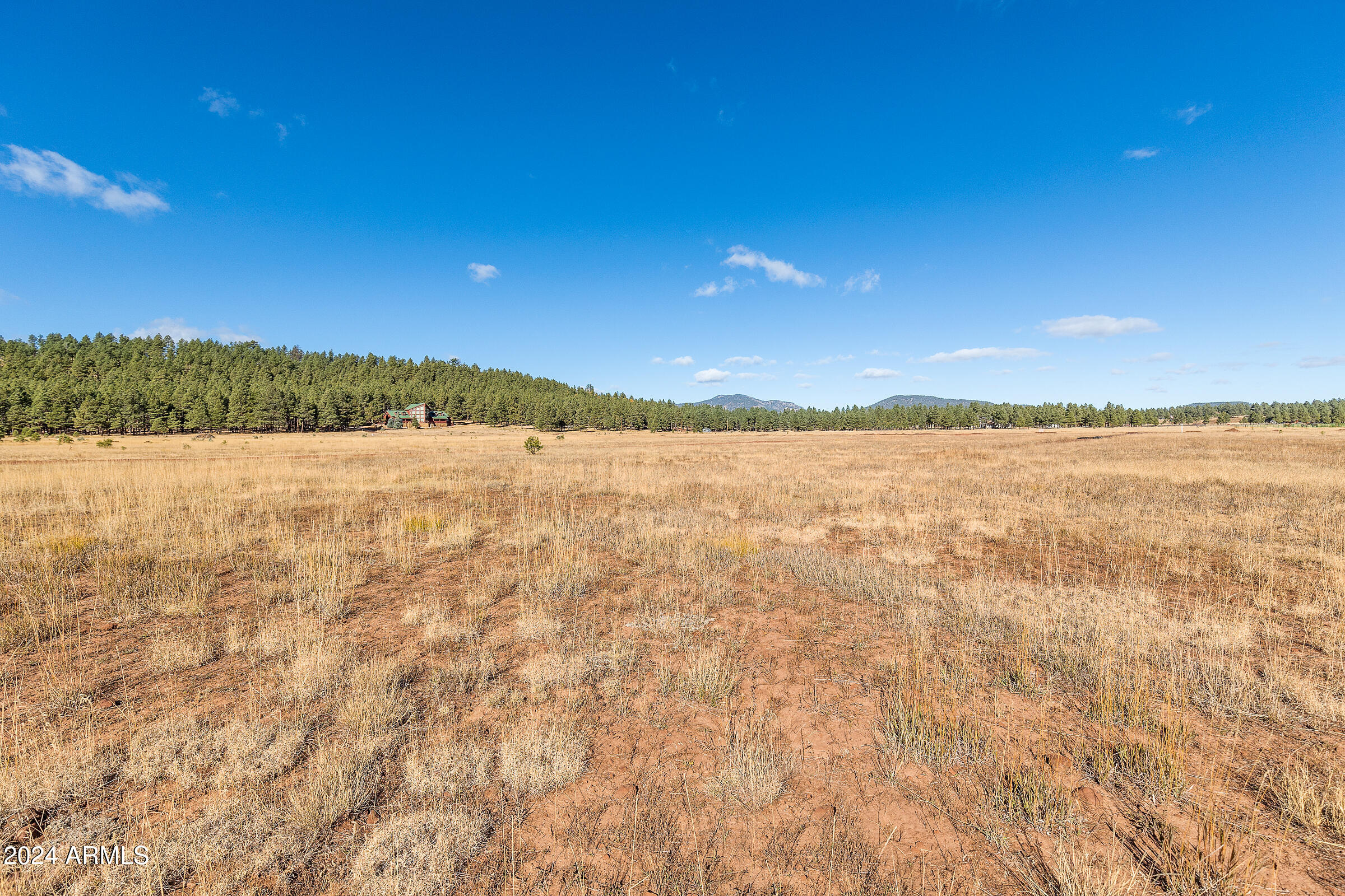 FORREST MEADOWS - Land