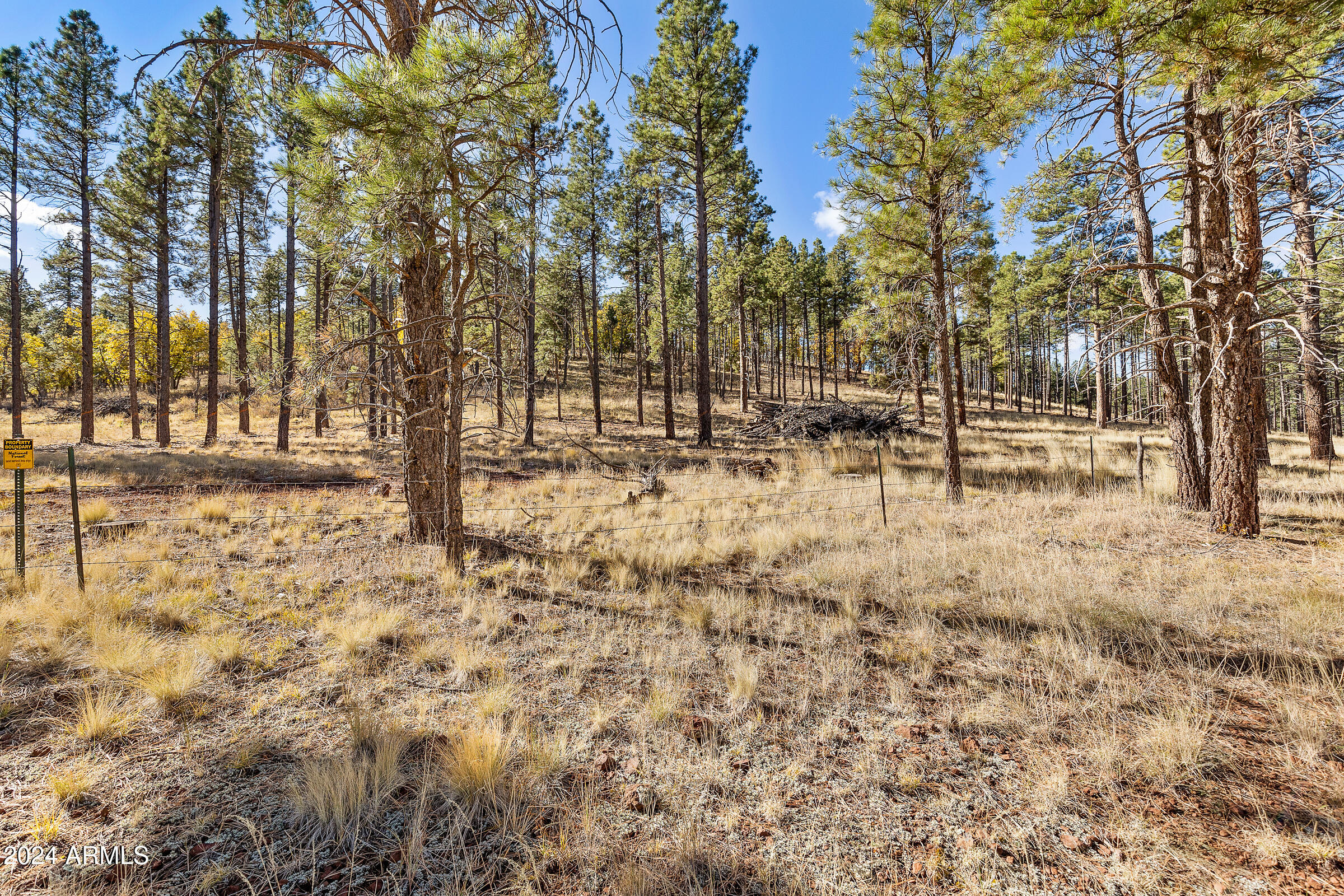 FORREST MEADOWS - Land