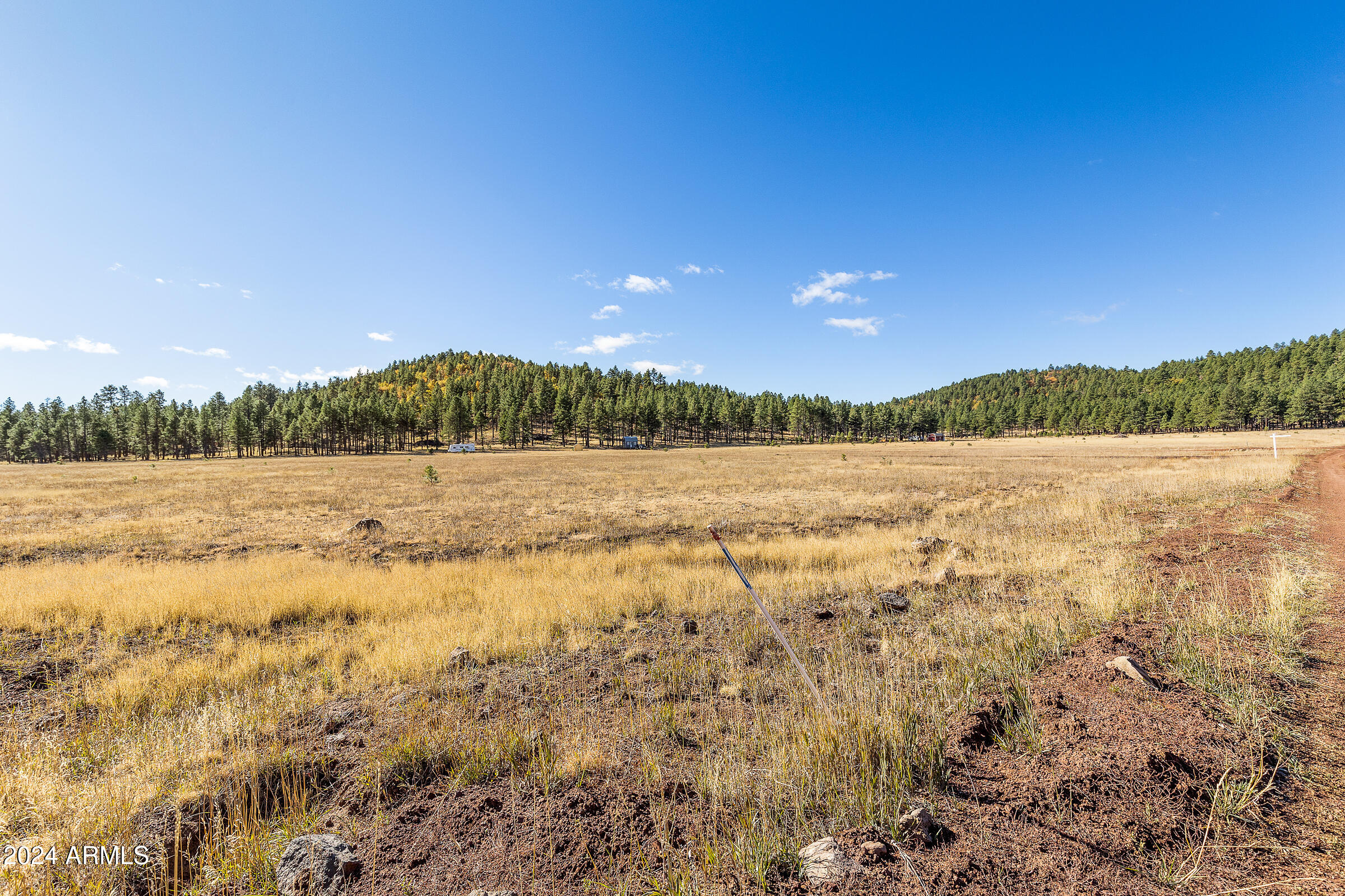 FORREST MEADOWS - Land