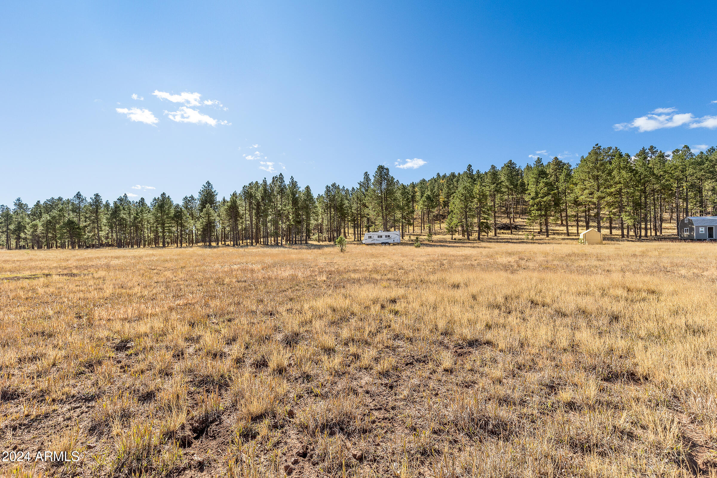 FORREST MEADOWS - Land