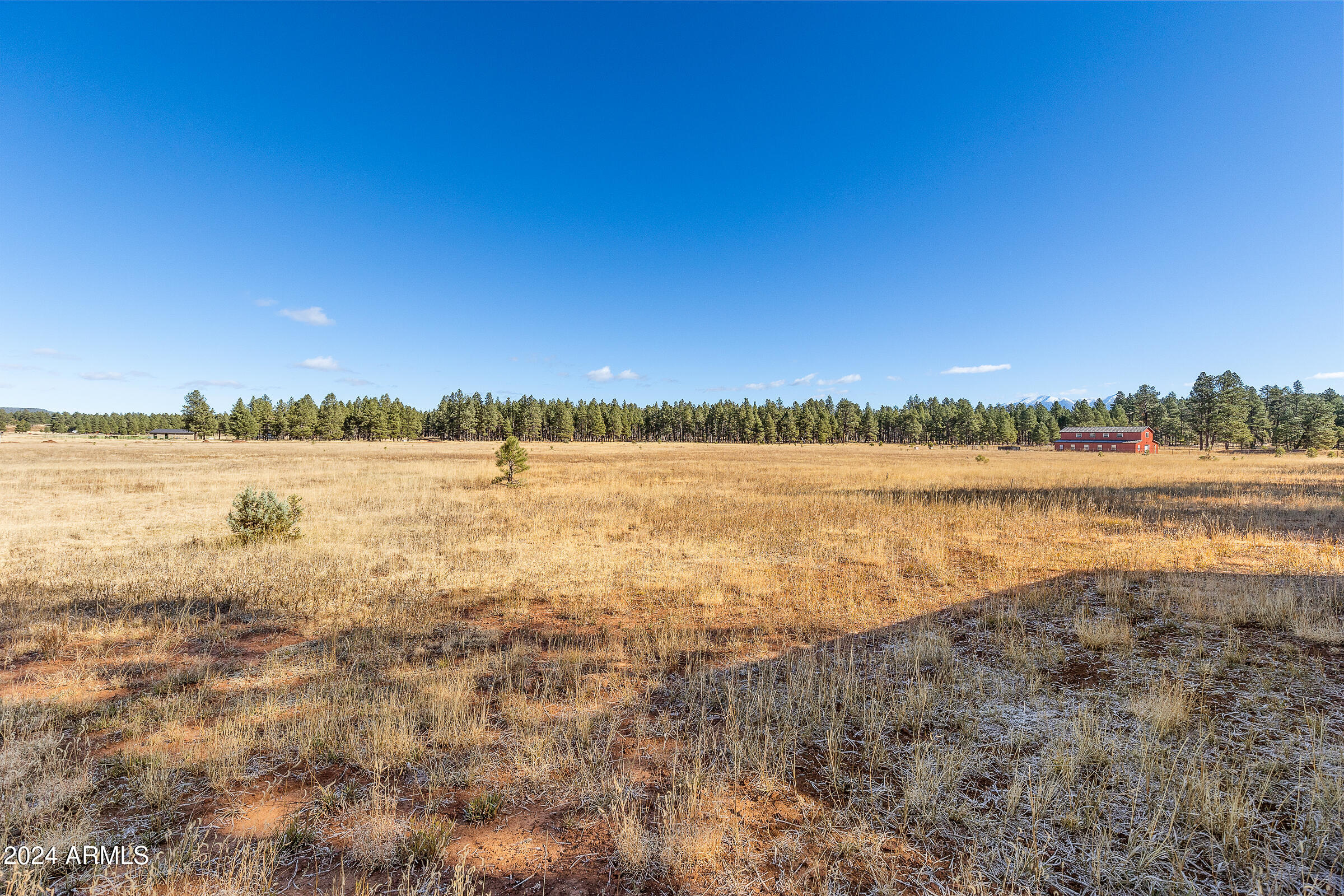 FORREST MEADOWS - Land
