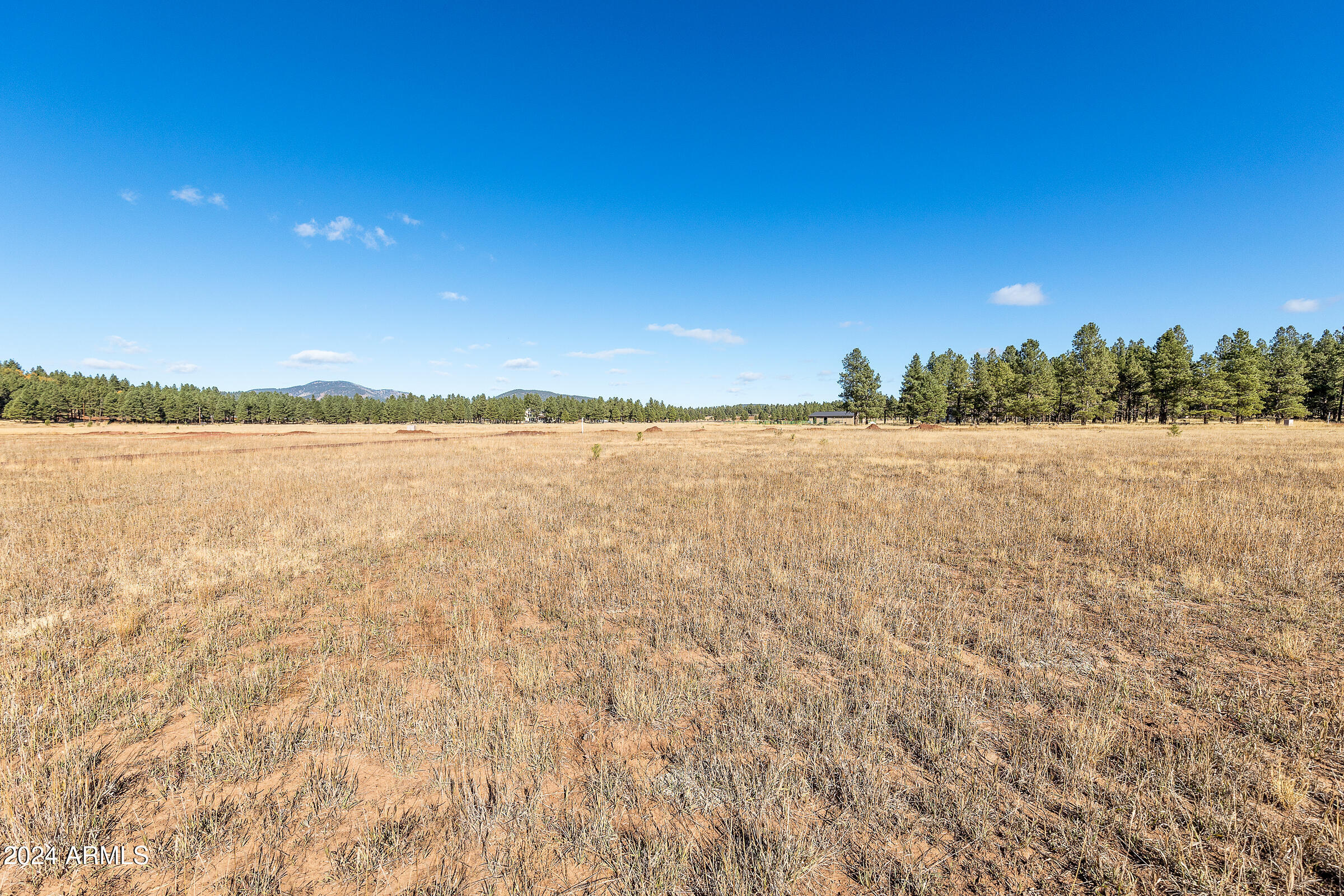 FORREST MEADOWS - Land