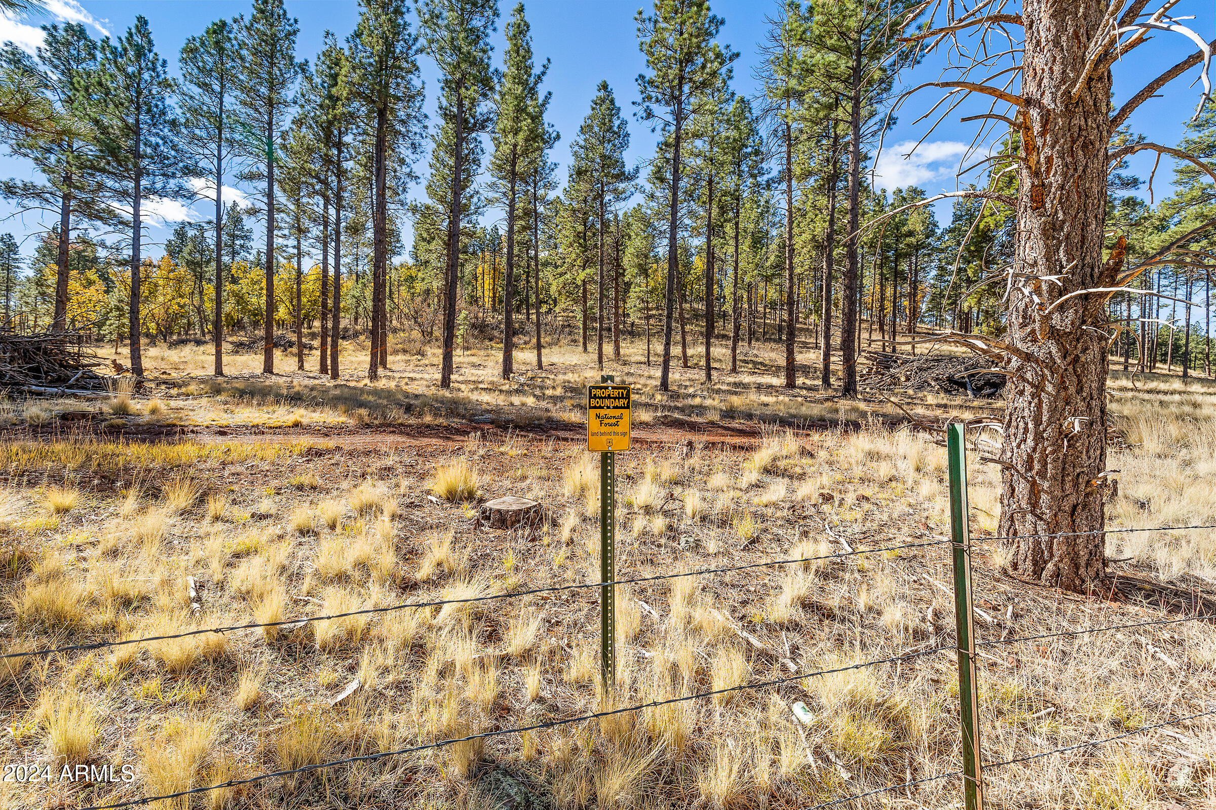 FORREST MEADOWS - Land
