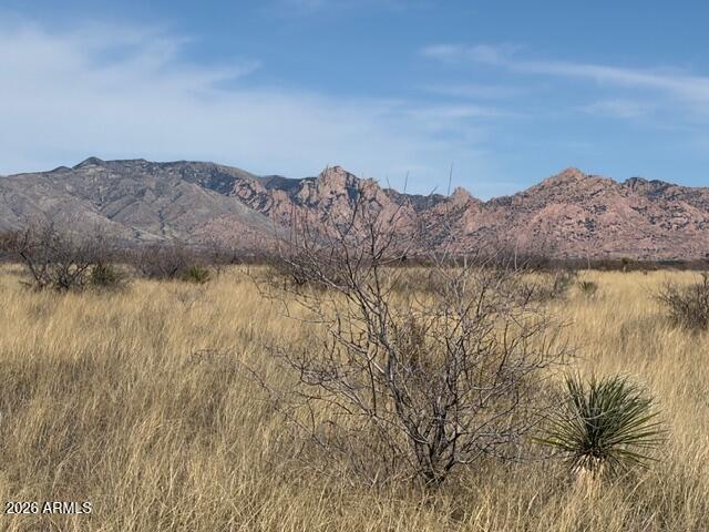 Dragoon Mountain Ranch Unit 3 - Land
