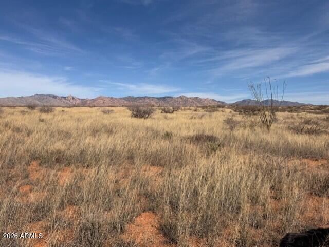 Dragoon Mountain Ranch Unit 3 - Land
