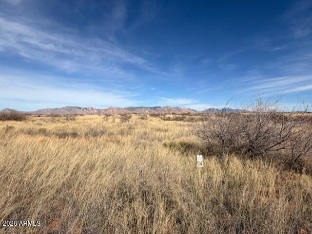 Dragoon Mountain Ranch Unit 3 - Land