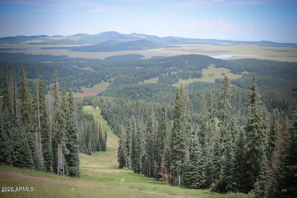 ELK SPRINGS - Residential