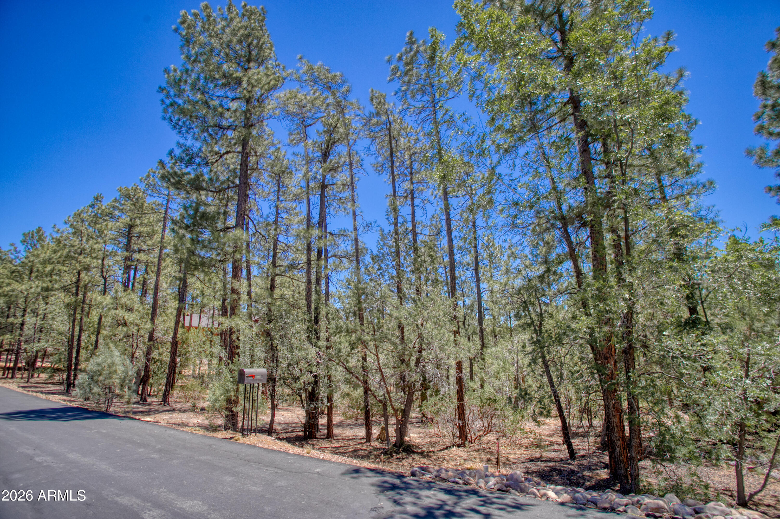 PINE OAKS - Land