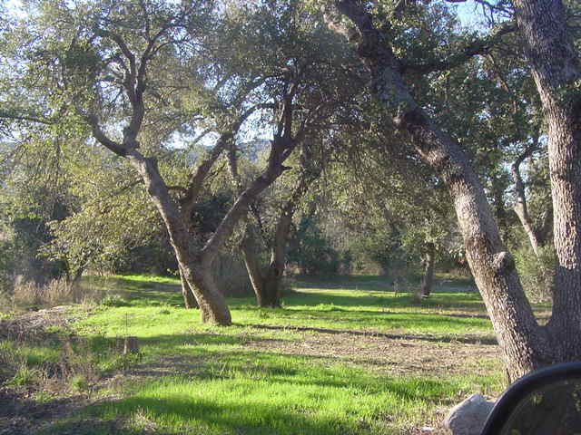 This one is 2.99 ac. There are actually 5 available and adjacent parcels all different sizes to fit what the buyer wants.  1.67ac, 2.56ac, 2.88ac, 2.99ac, 3.30ac all have water to property or well on the property. All have power available (work with APS on what is required). Gorgeous land and much cooler than the Valley. Views everywhere you look. 4 parcels back up to Forest Service. Build or set a MH. Seller is willing to help to put a package deal together or may carry on land for short period. All lots Come and pick yours.
