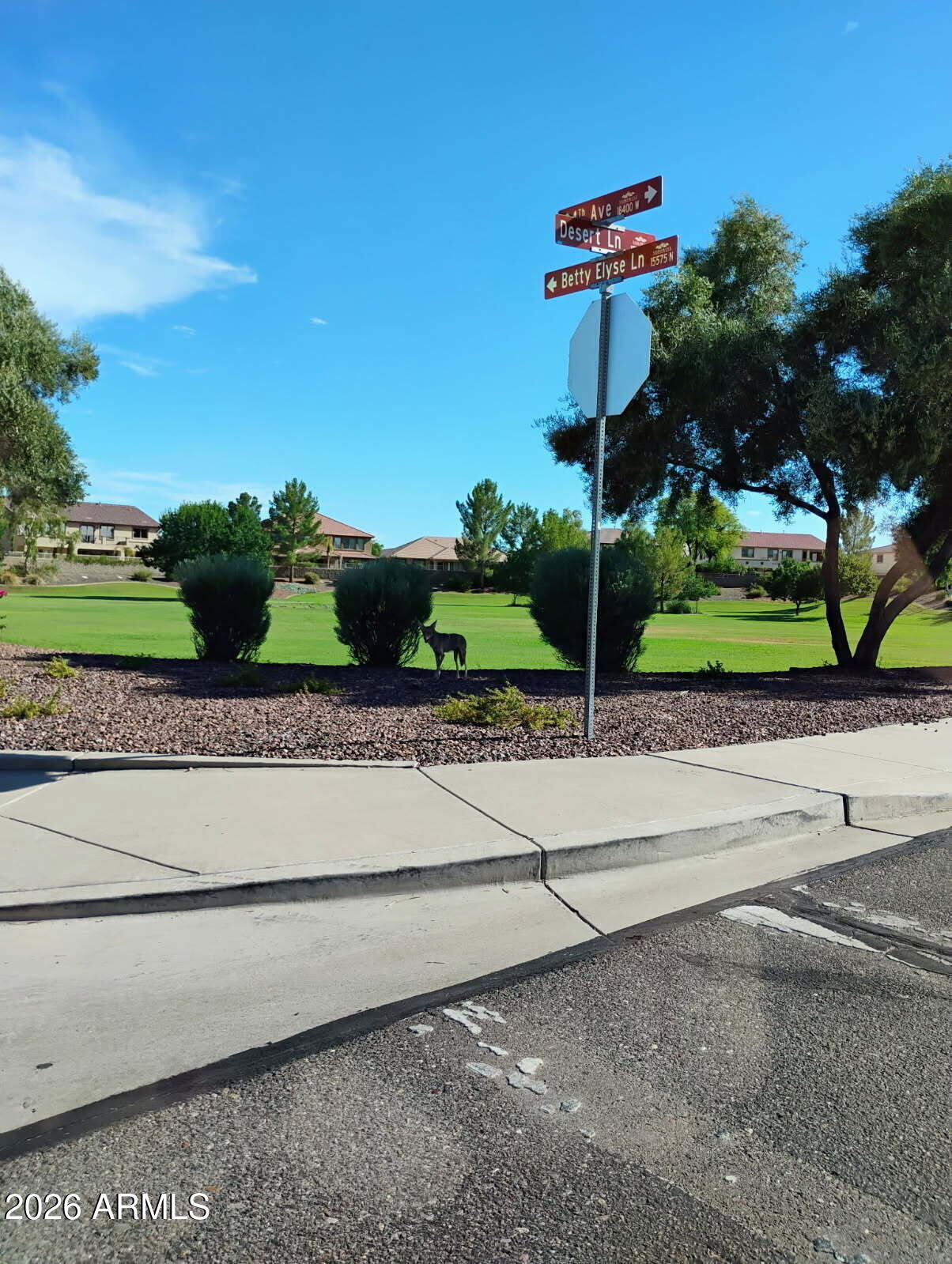 SURPRISE FARMS PHASE 4 PARCEL 1 - Residential