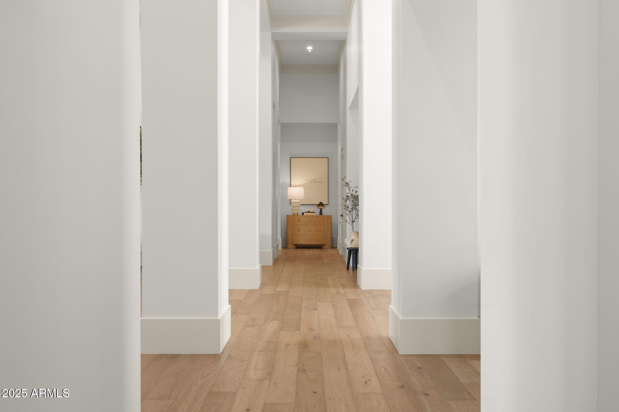 Cactus Corridor - Residential