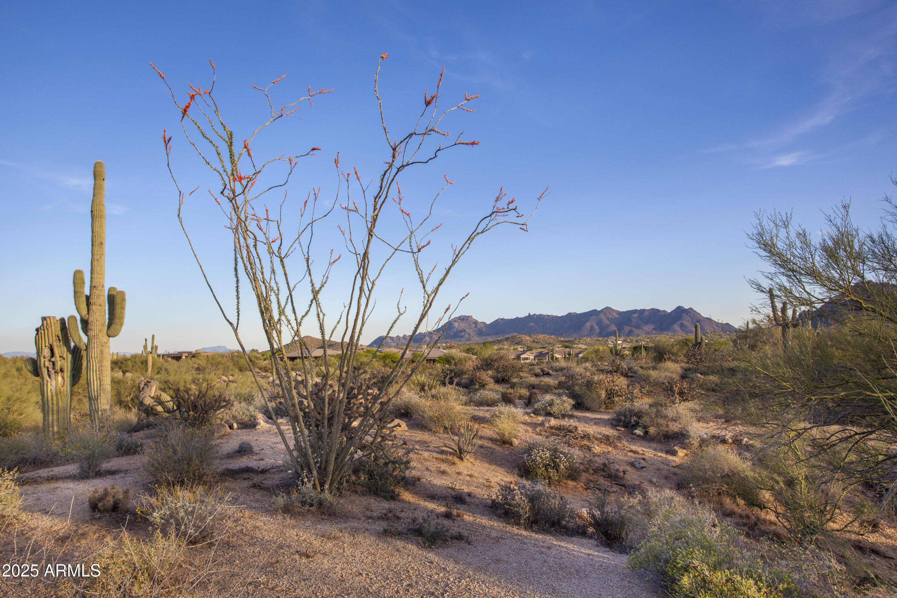 GOLDIE BROWN PINNACLE PEAK RANCH UNIT 3 - Land