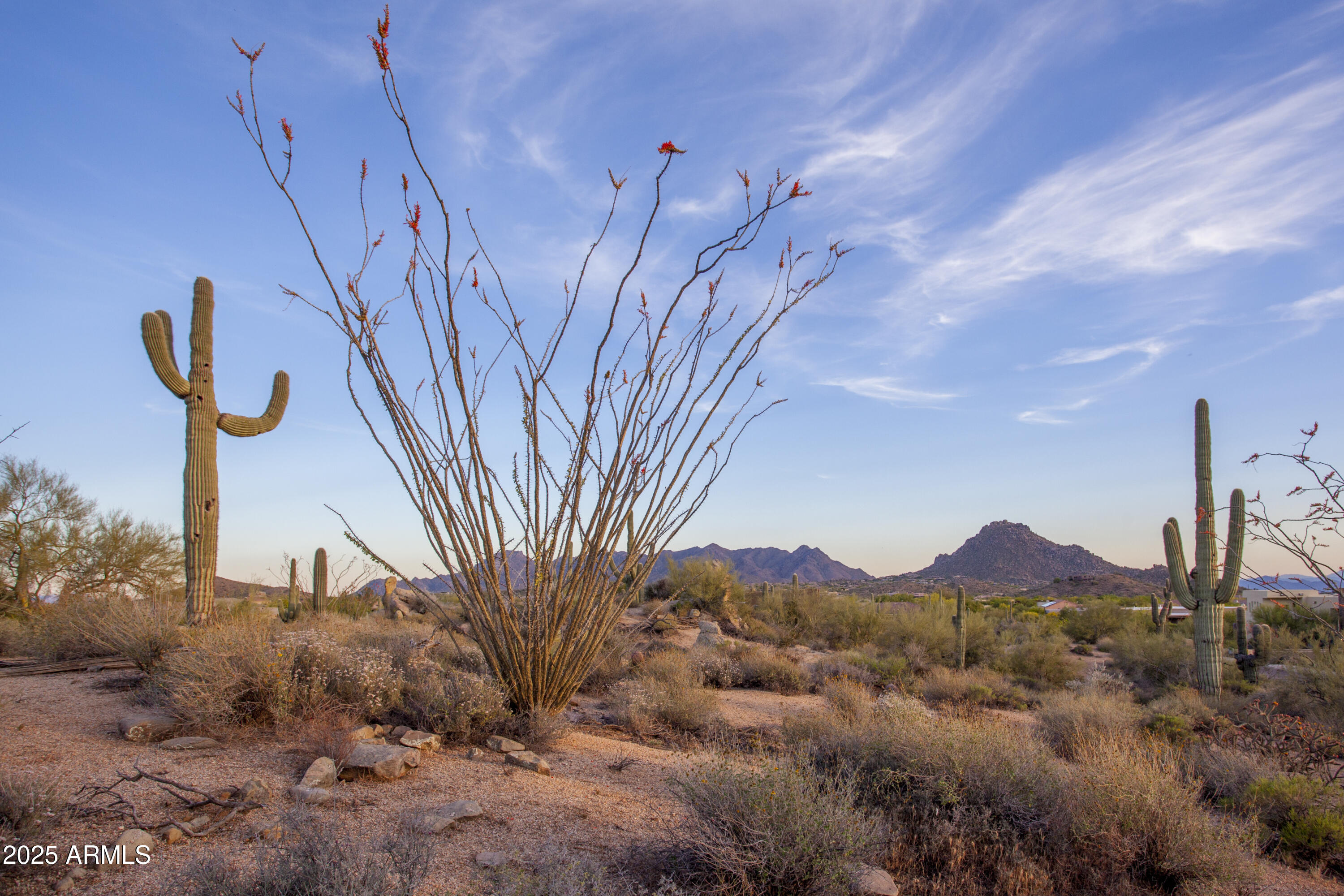 GOLDIE BROWN PINNACLE PEAK RANCH UNIT 3 - Land
