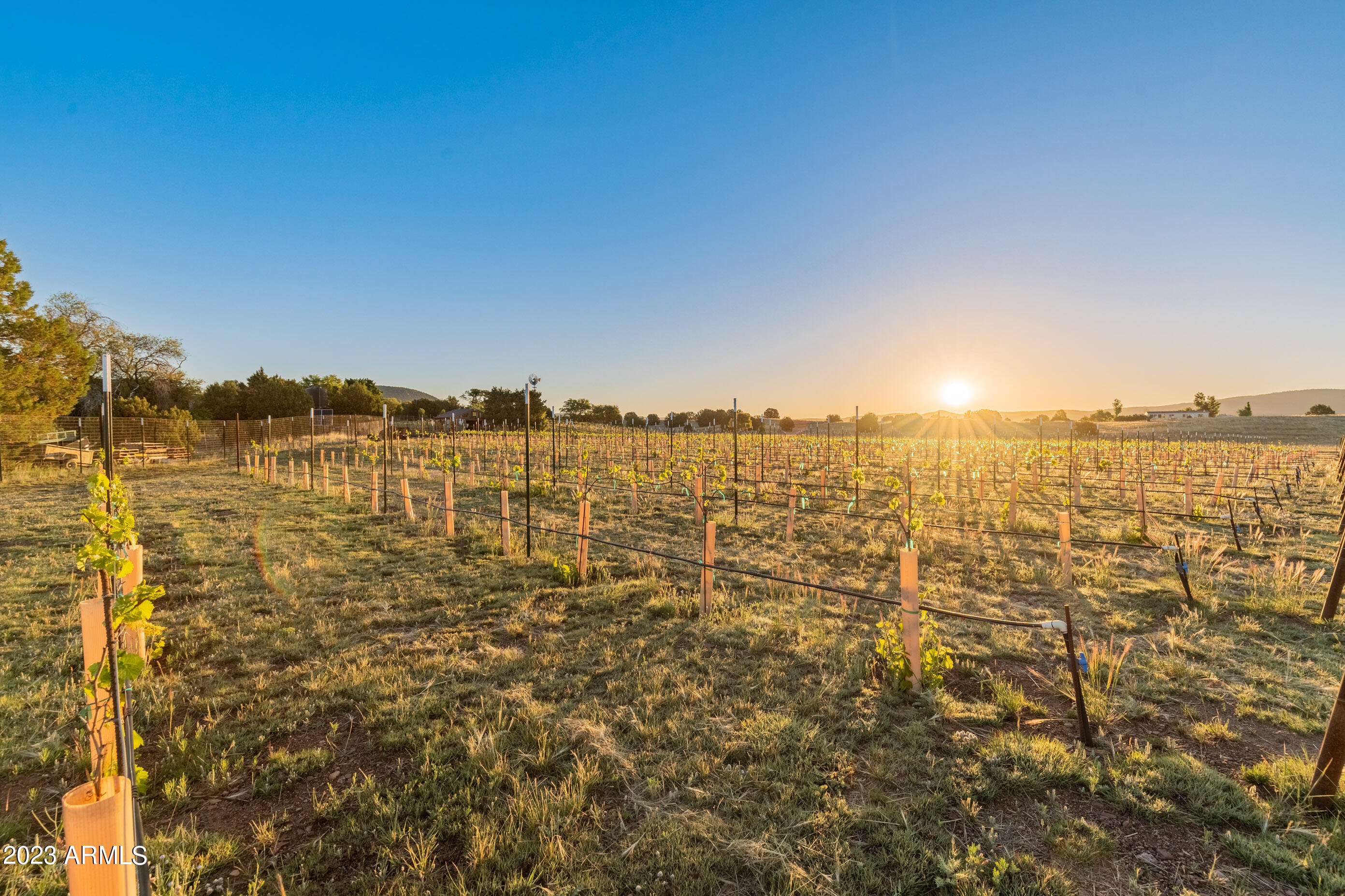 Tierra Madre Vineyard - Residential