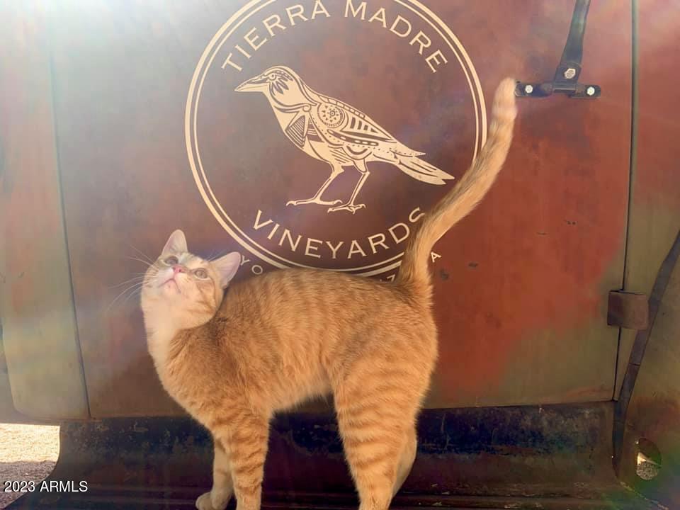 Tierra Madre Vineyard - Residential