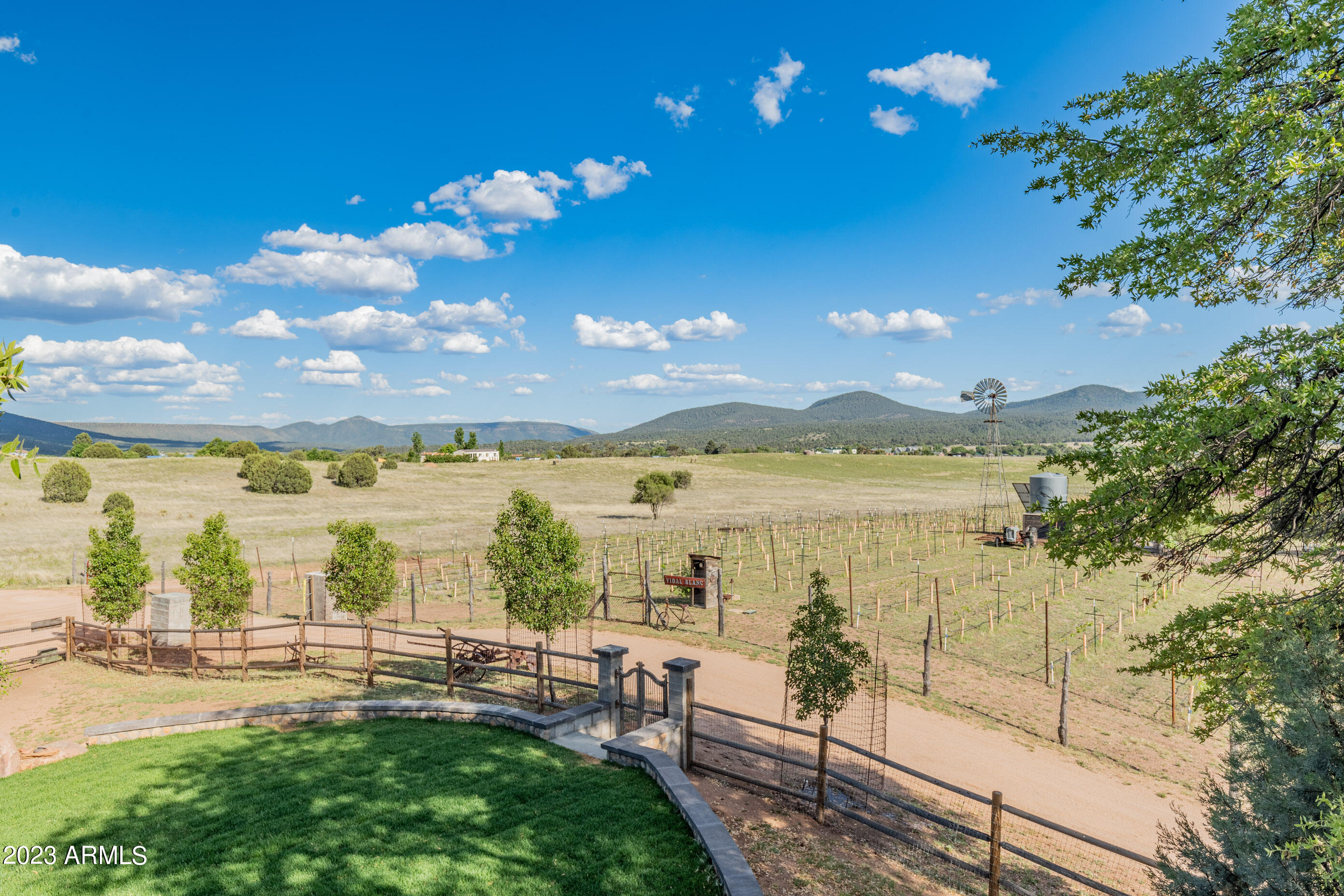Tierra Madre Vineyard - Residential