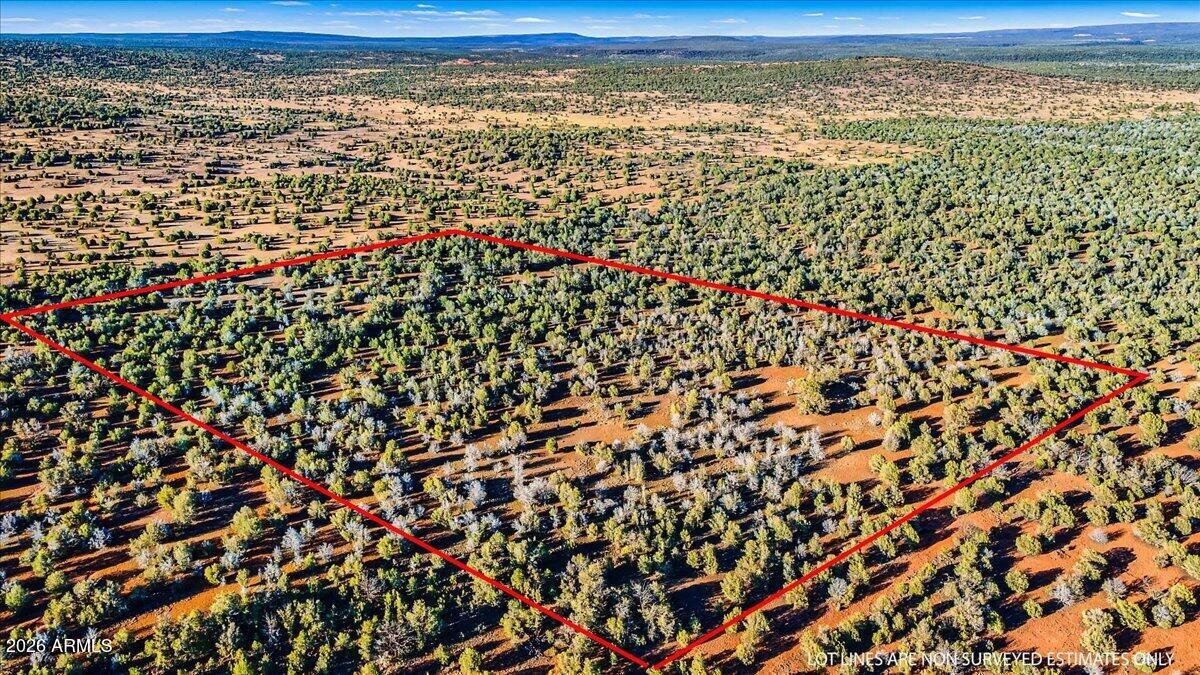 Need a break from people, traffic, and group texts? This 40 acre Northern Arizona escape is your answer. Surrounded by mature trees, wildlife, mountain views, and endless open skies, this property is private and quiet enough to actually hear the birds instead of your notifications. Natural sandstone throughout adds character and potential for landscaping, pavers, or custom touches. Perfect for camping, off-grid living or a future homesite. Tons of usable land, fresh mountain air, and all the beauty of the Ash Fork/Williams area with Route 66 charm nearby. Bonus- the north side of the property backs up to state trust land!