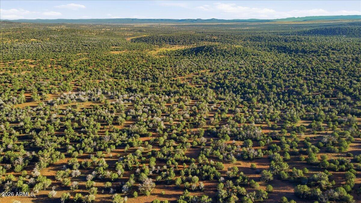 ARIZONAS JUNIPERWOOD RANCH 5 - Land