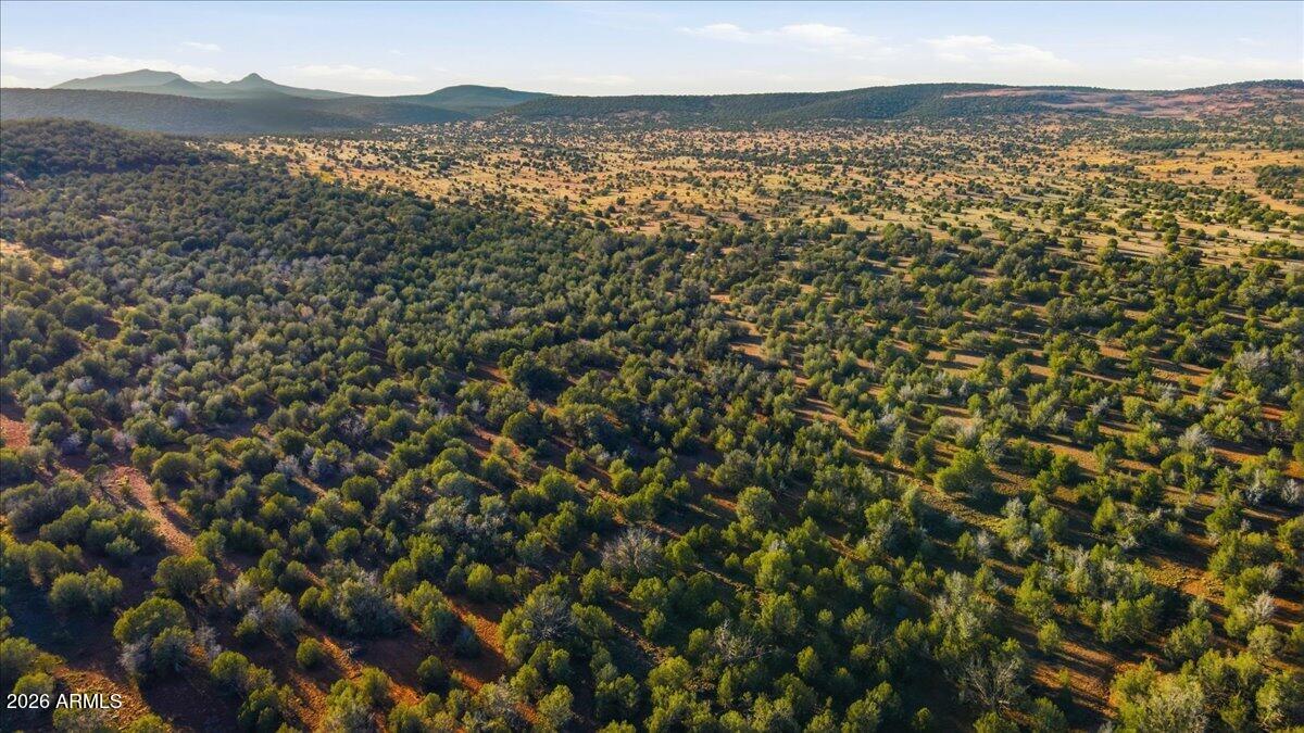 ARIZONAS JUNIPERWOOD RANCH 5 - Land
