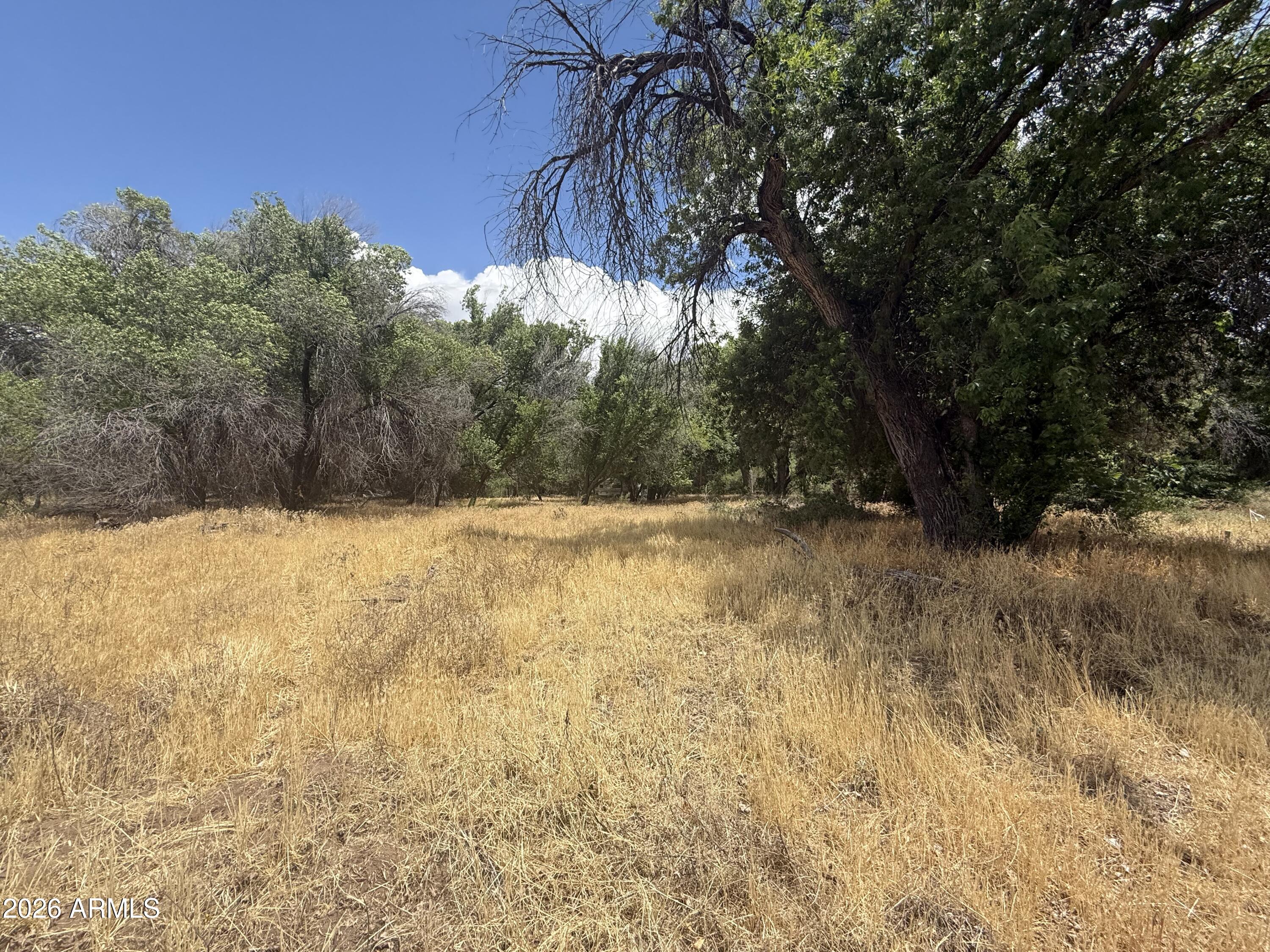VERDE LAKES UNIT 2 - Land