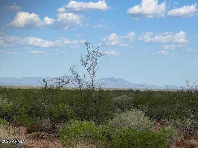 Build your ''DREAM HOME'' here!!! Choose from 5 to 10 acres. Enjoy the 
Majestic Mountain Views and the serenity of the open spaces! Easy access to Tucson and Sierra Vista. This listing is for 5 acres but 10 acrea are available.