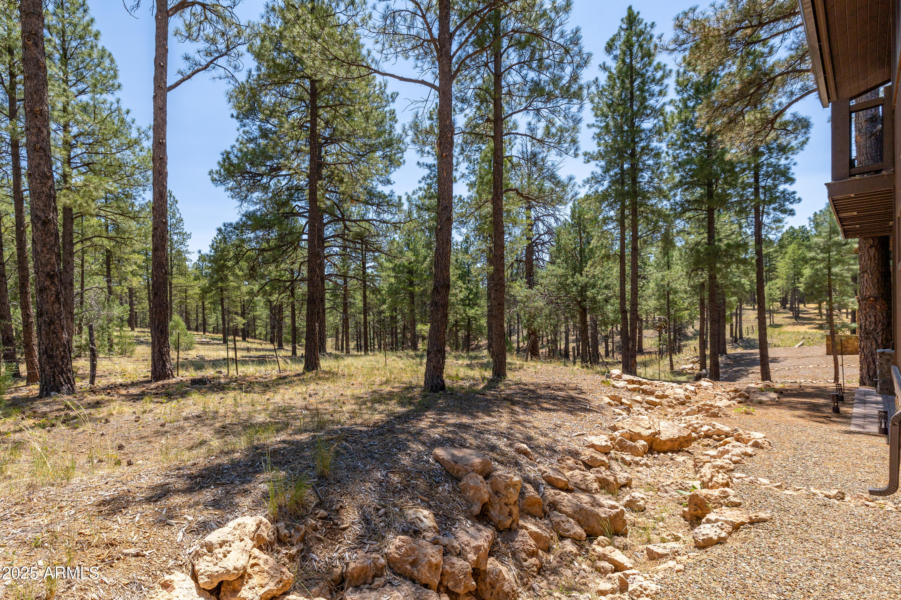 Pine Canyon - Residential